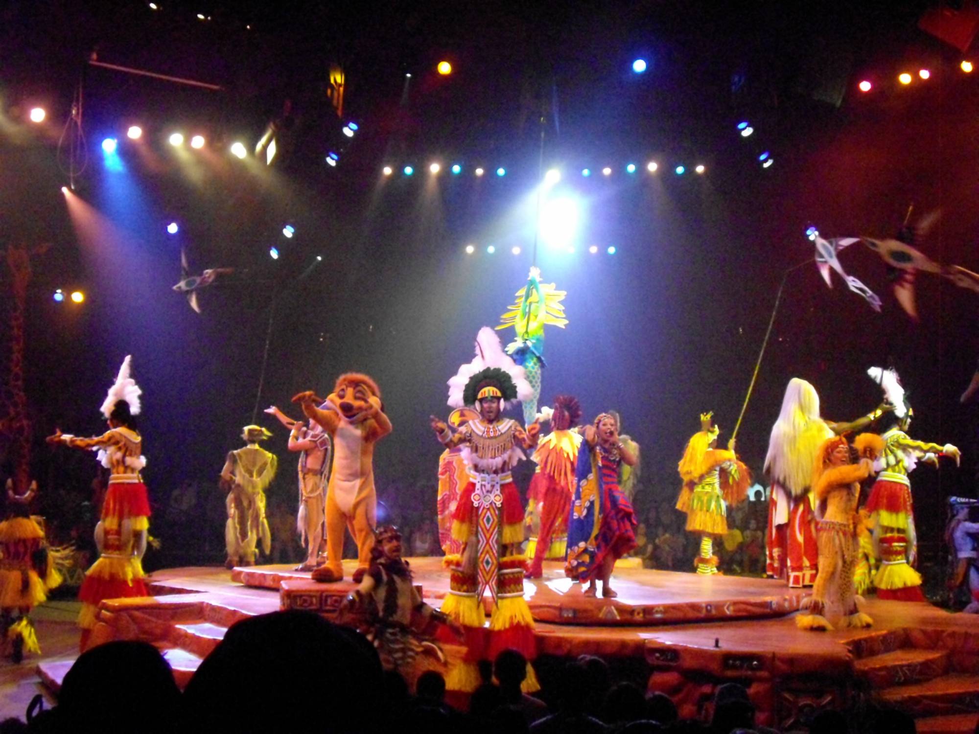 Animal Kingdom - Festival of the Lion King