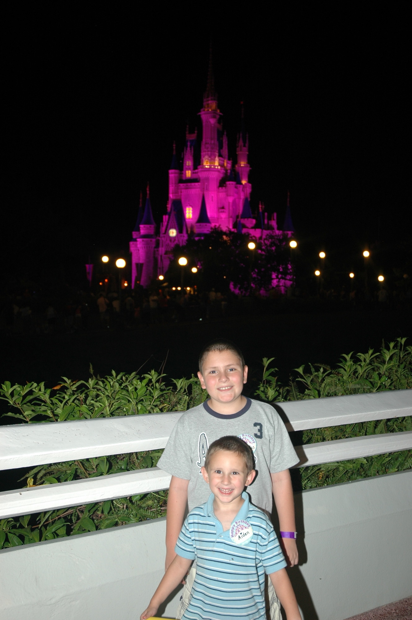 Magic Kingdom - View from the Wishes Dessert Party