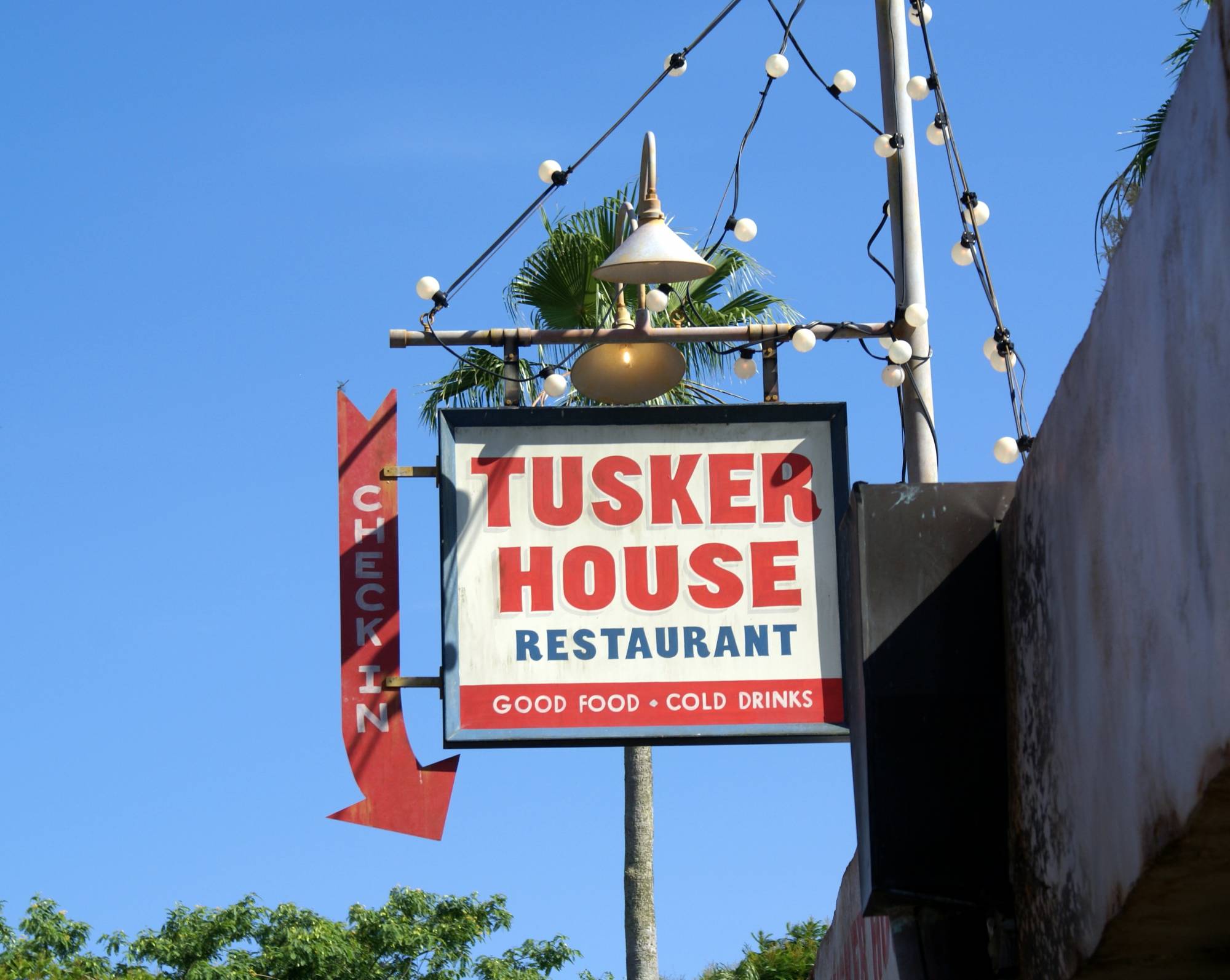 Animal Kingdom - Tusker House