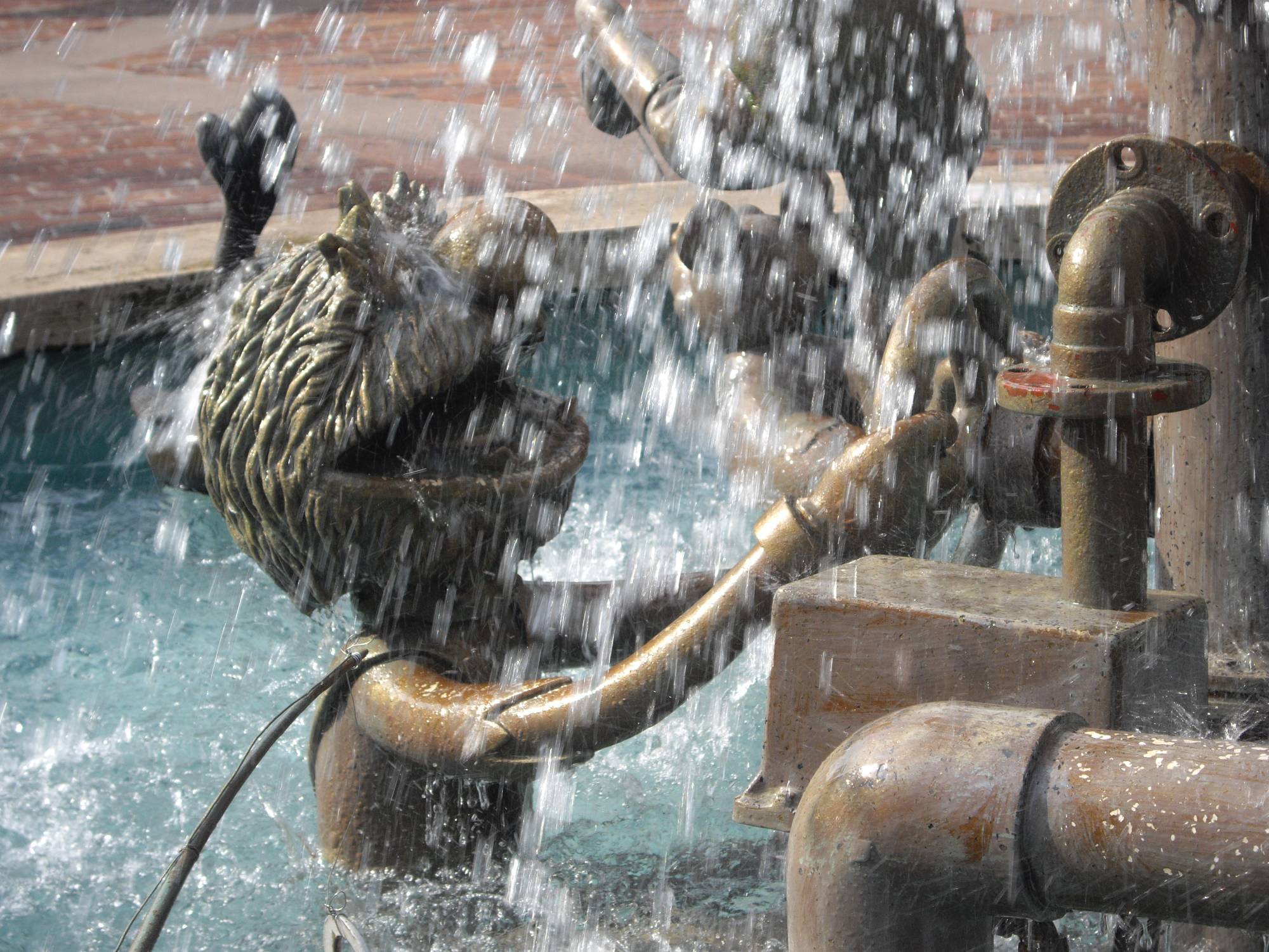 Hollywood Studios - Muppet Fountain