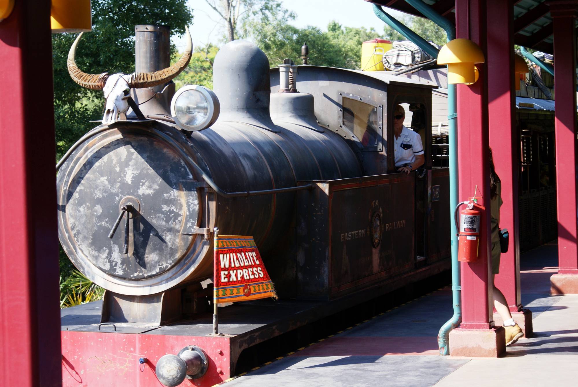 Animal Kingdom - Wildlife Express Train