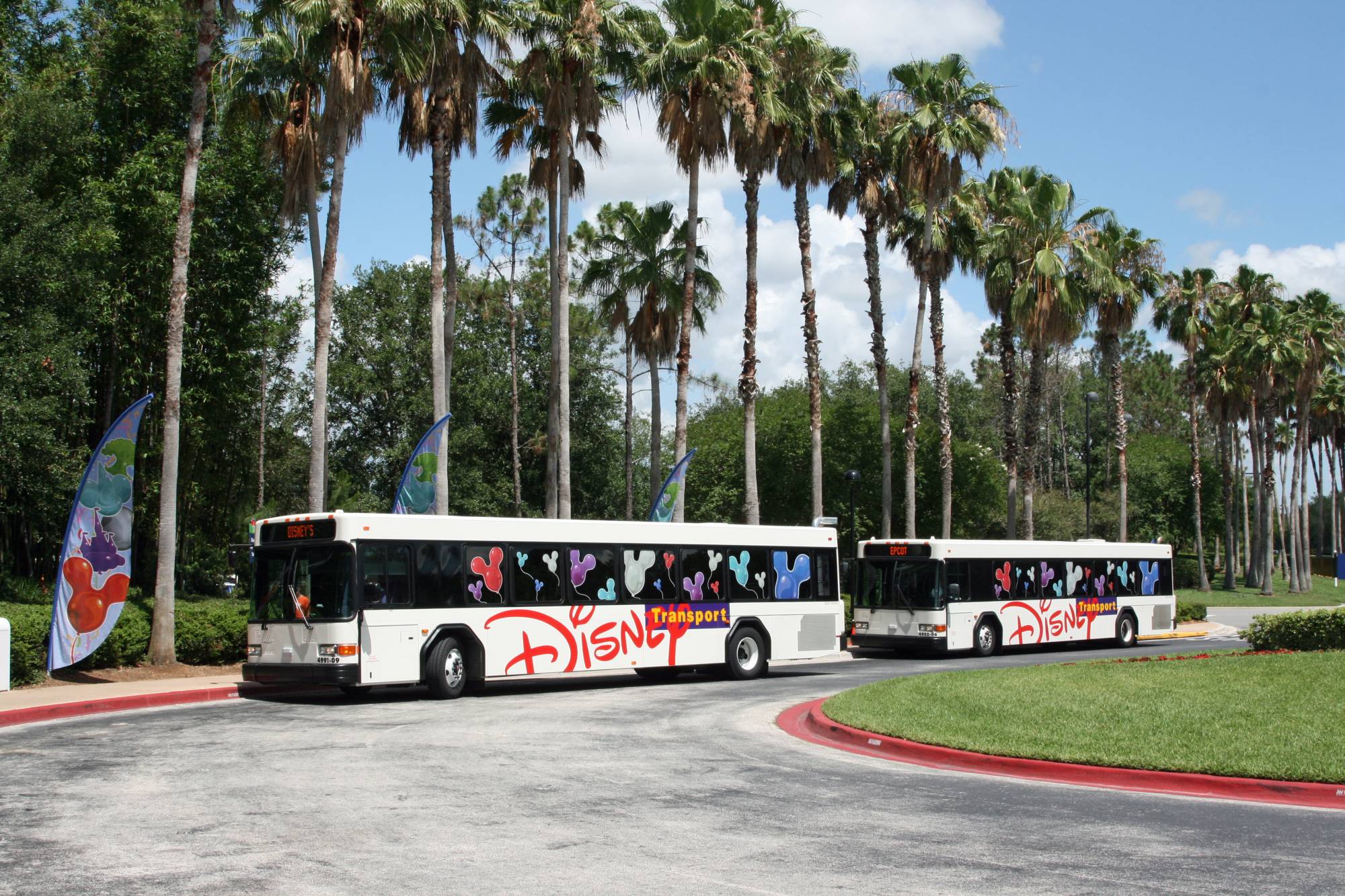 All Star Sports - Resort Buses
