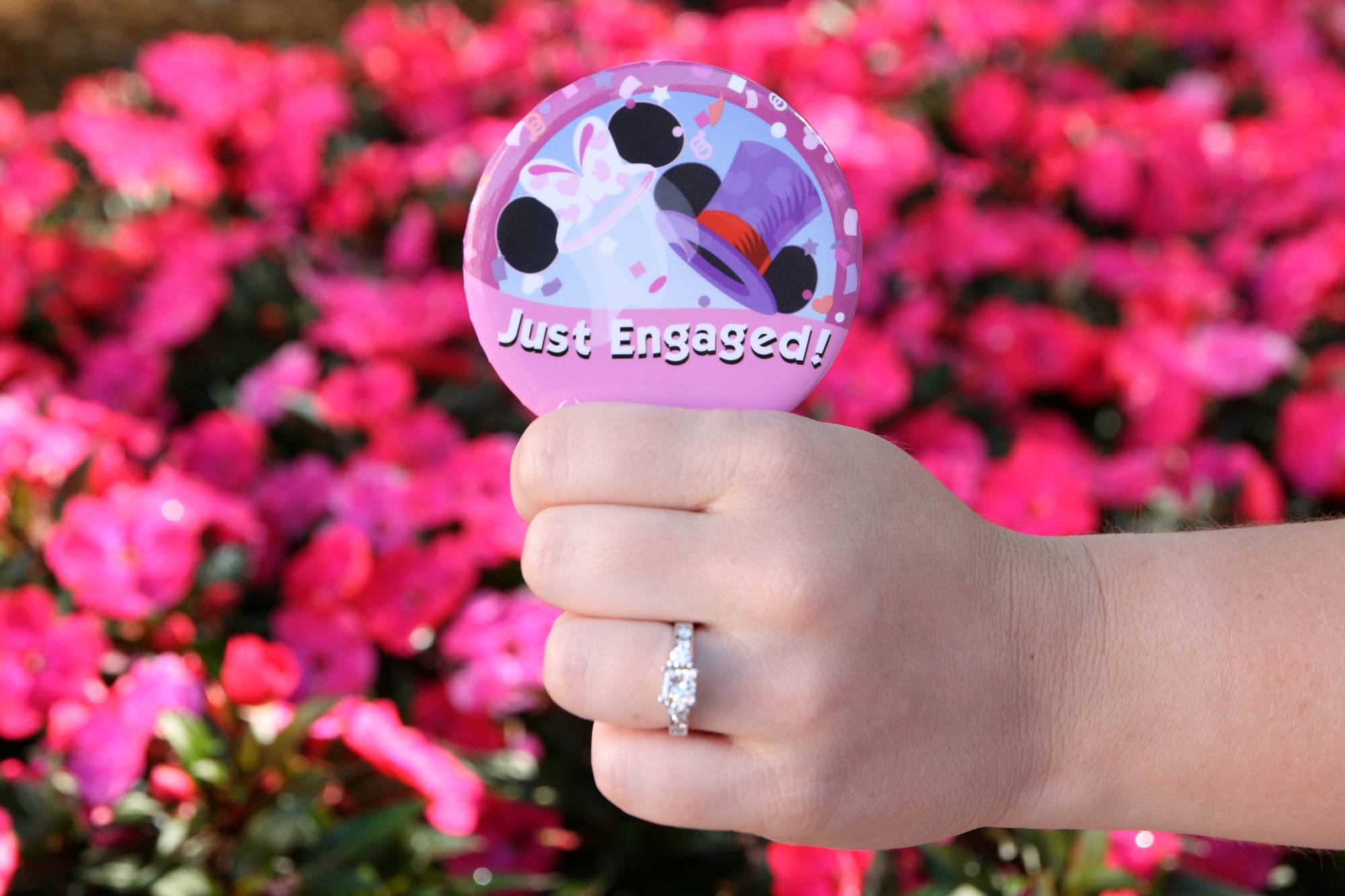 Disney World - Just Engaged!