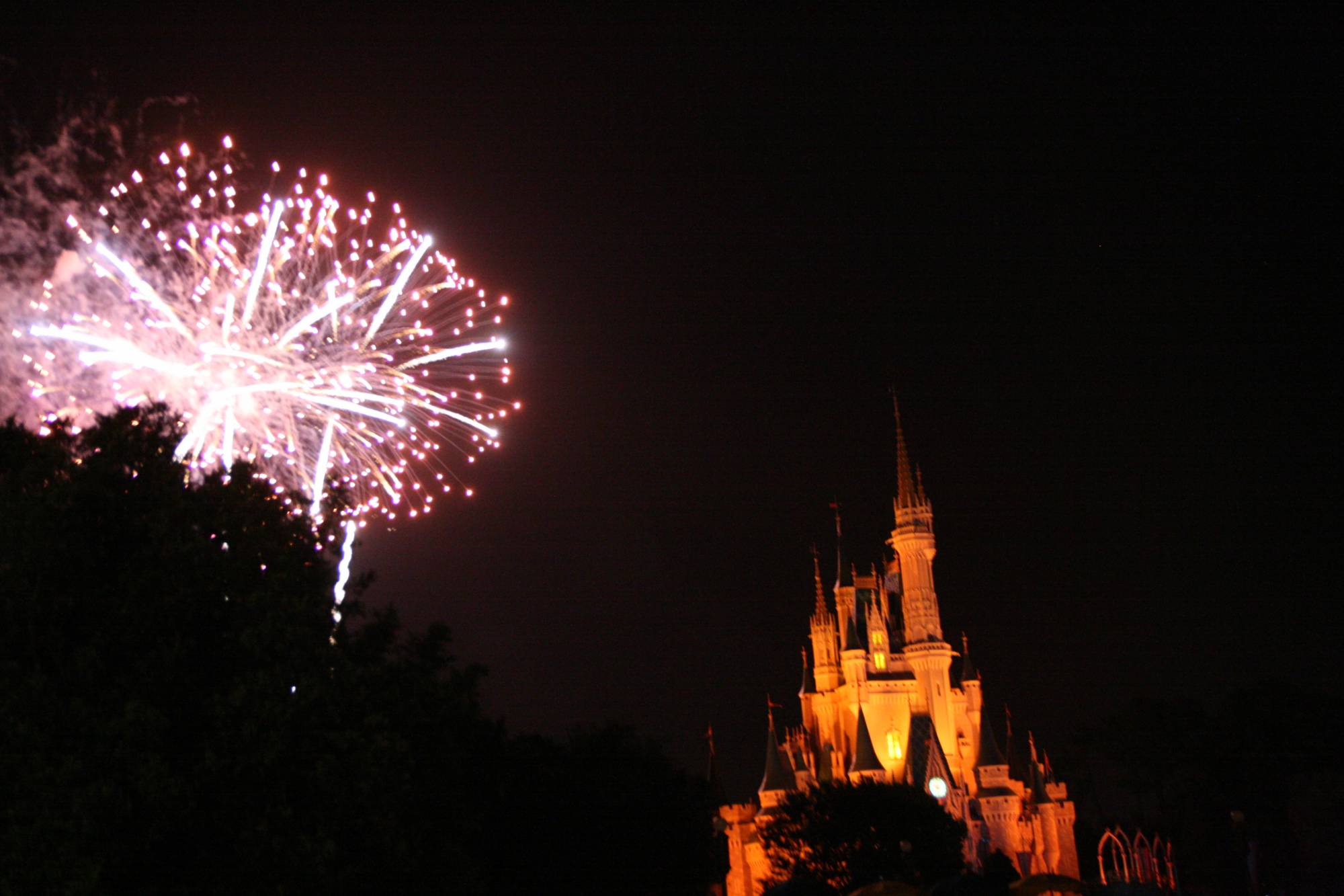 Magic Kingdom - Wishes Fireworks