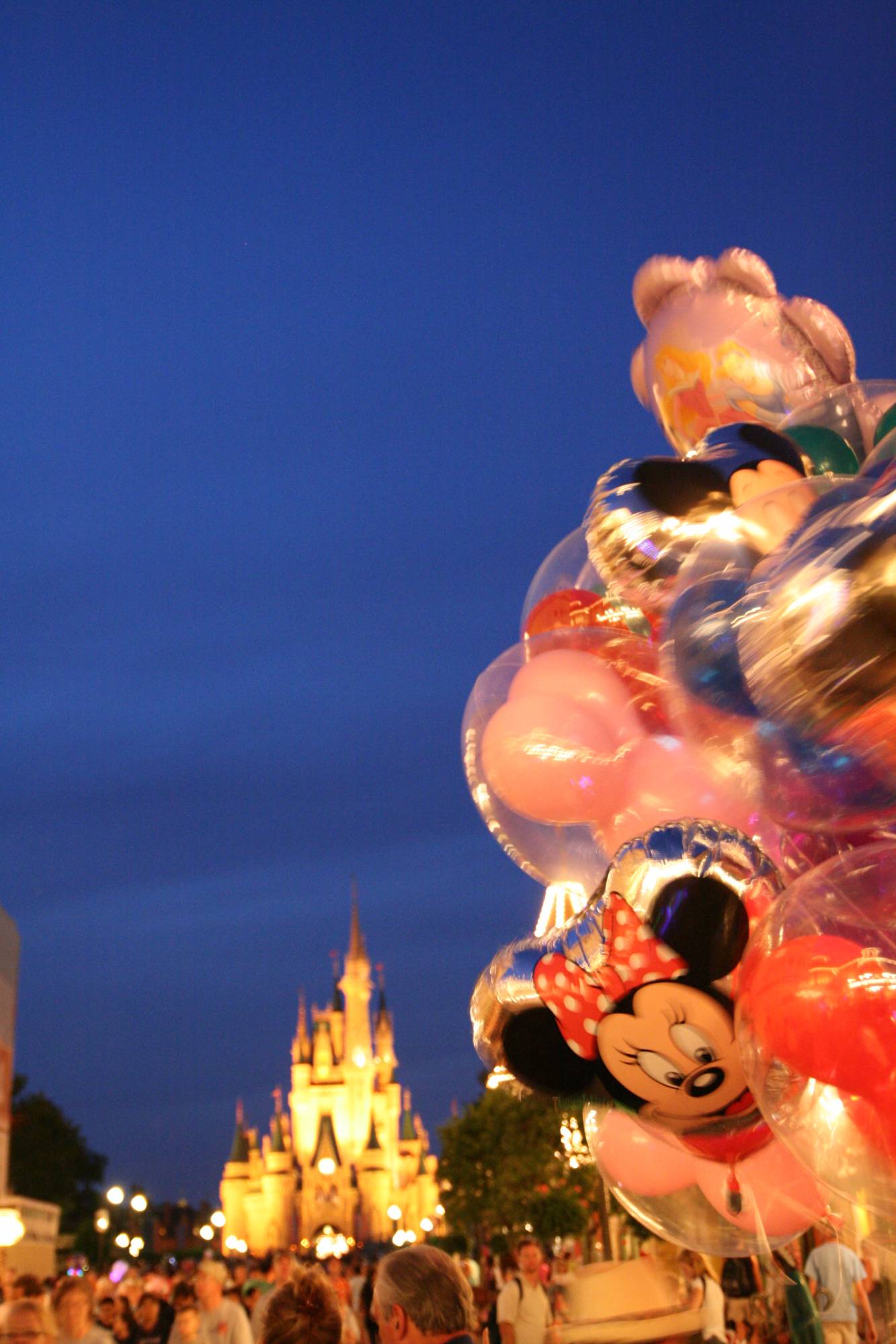 Magic Kingdom - Cinderella's castle