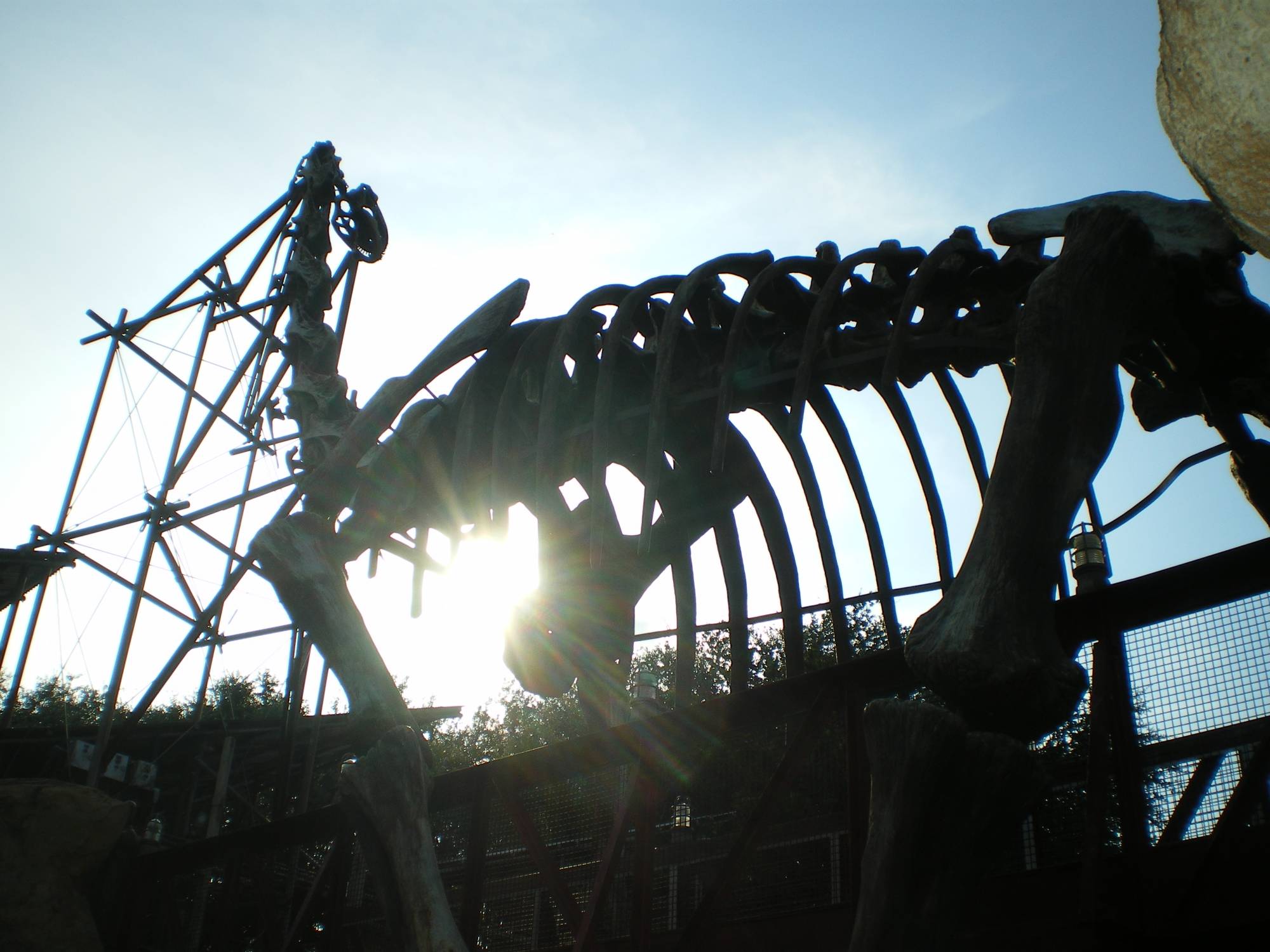 Animal Kingdom - Dinoland in the early morning