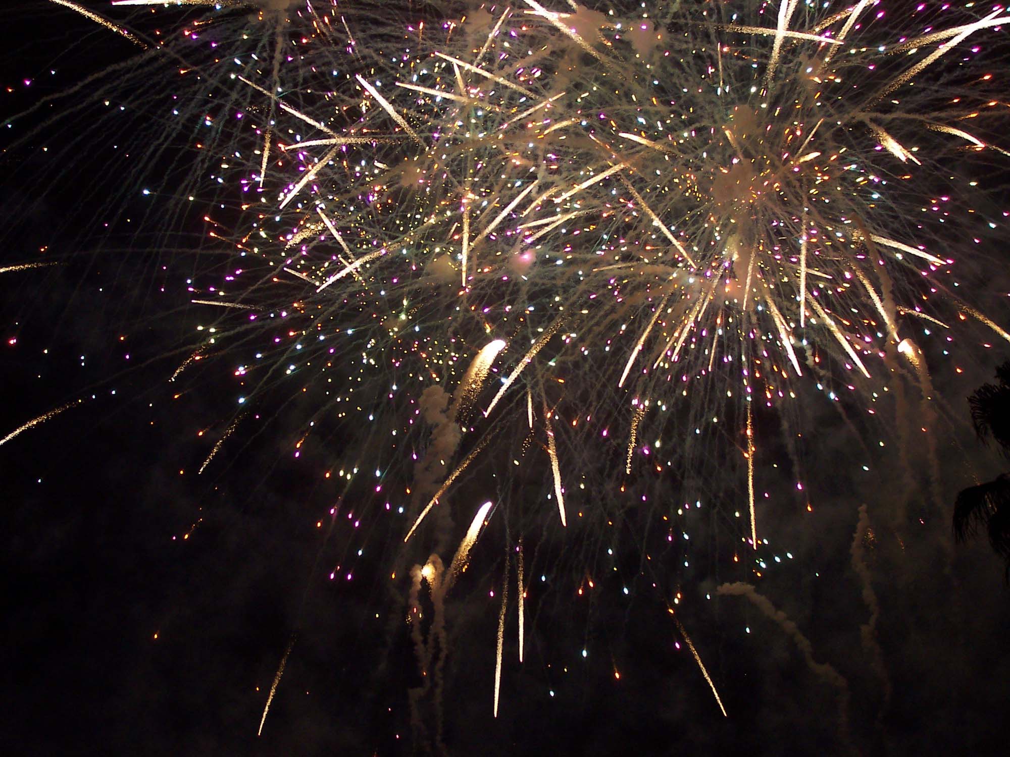Epcot - Illuminations Fireworks
