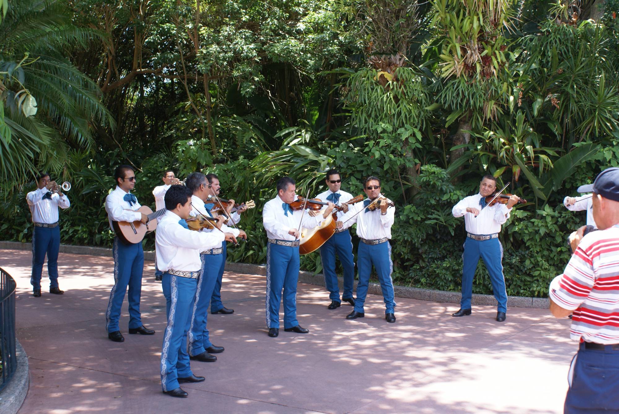 Mariachi Band