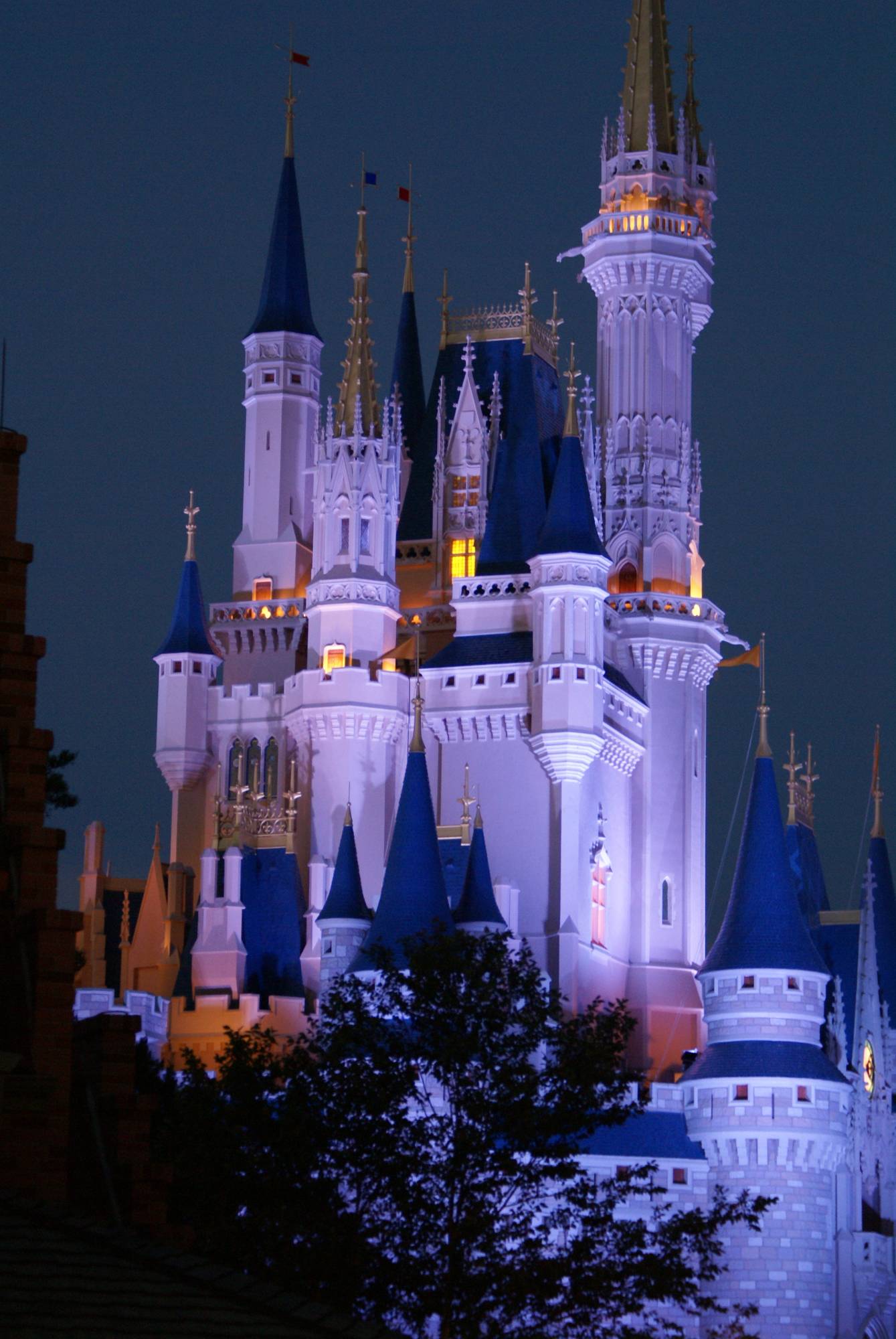 Cinderella's Castle Lit Up for Night