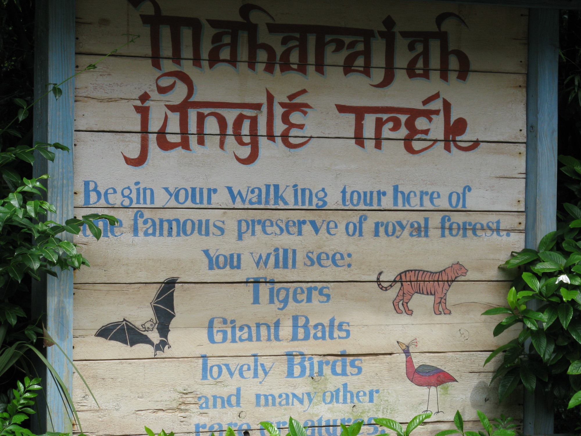 Animal Kingdom - Maharajah Jungle Trek