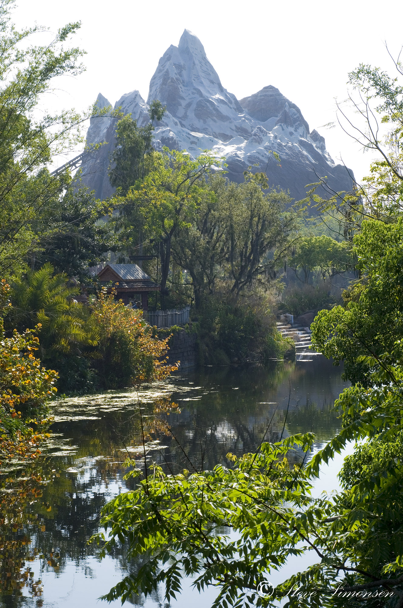 Animal Kingdom - Expedition Everest