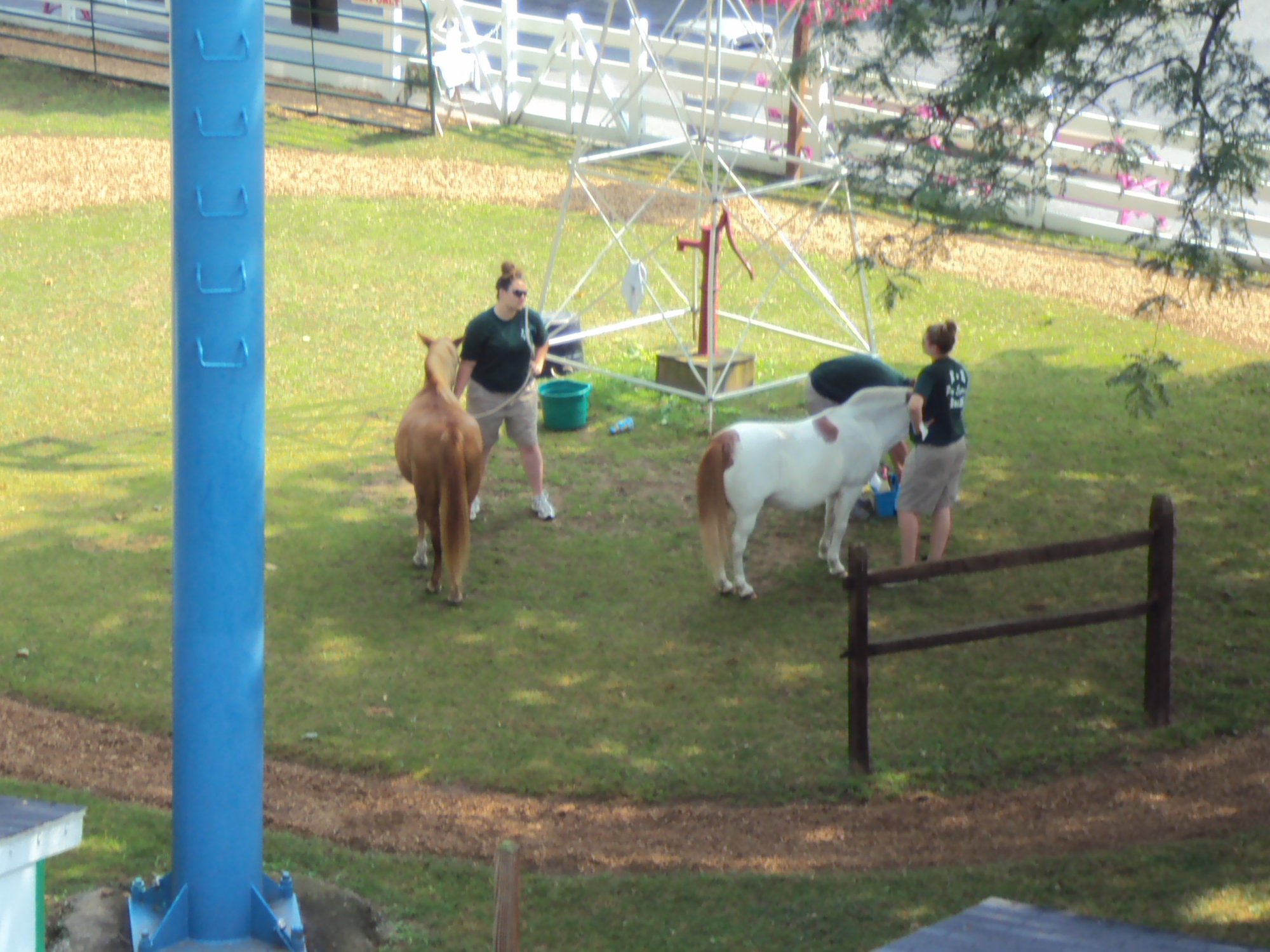 Dutch Wonderland