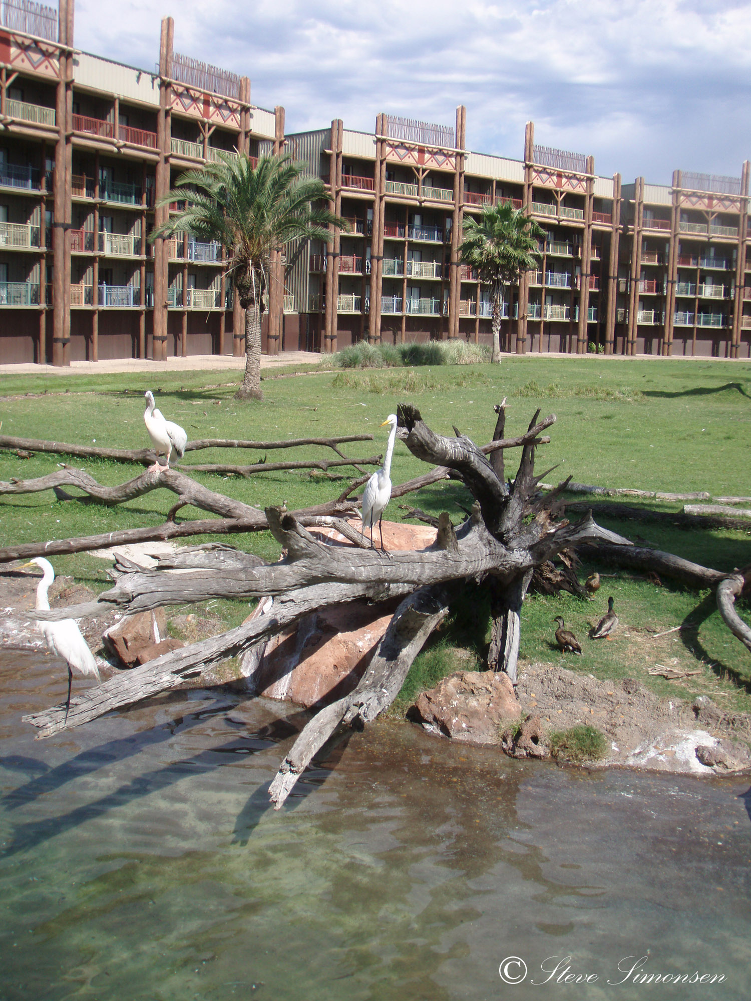 Animal Kingdom Lodge - Savannah and hotel