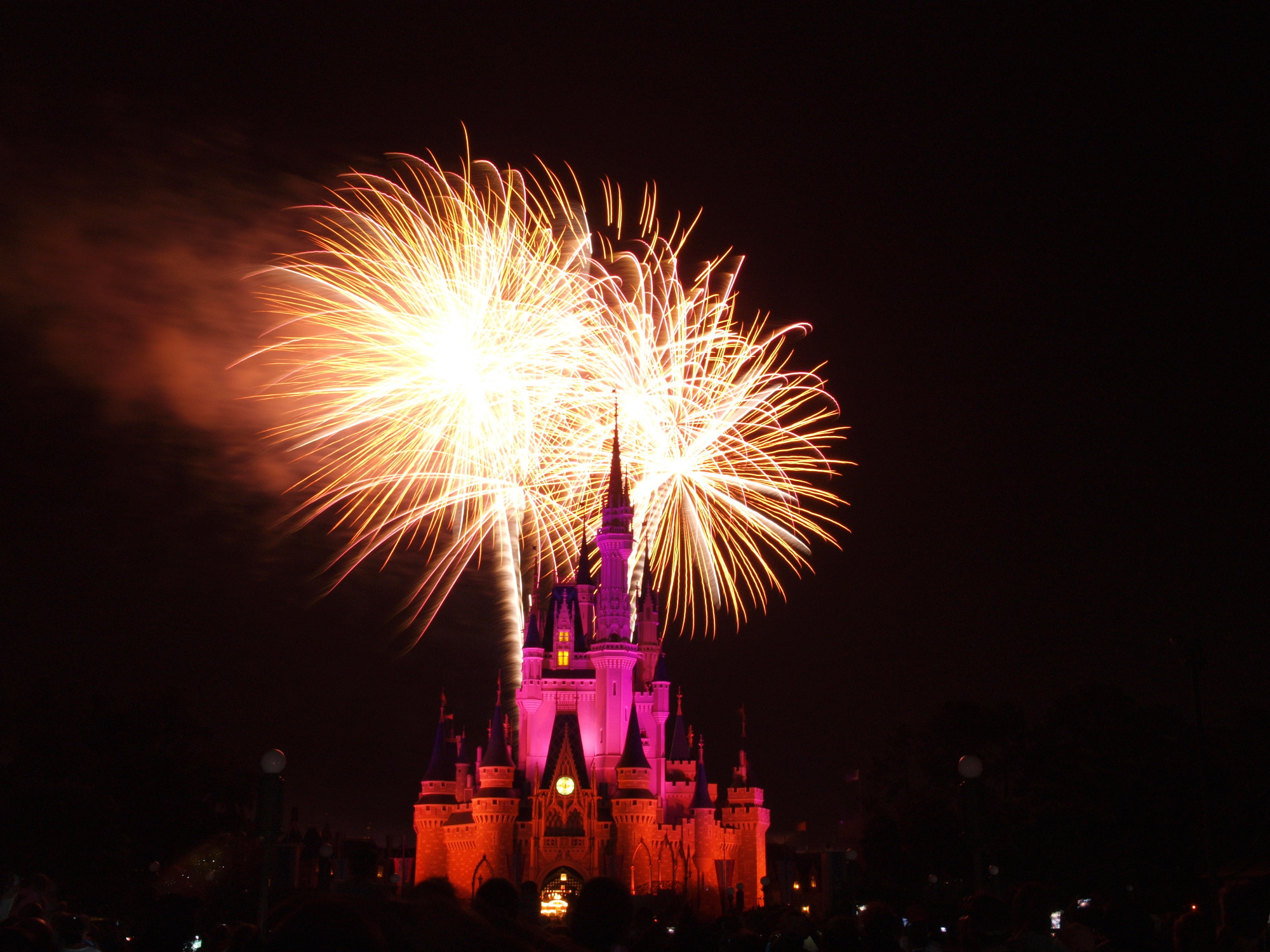 Magic Kingdom - Wishes