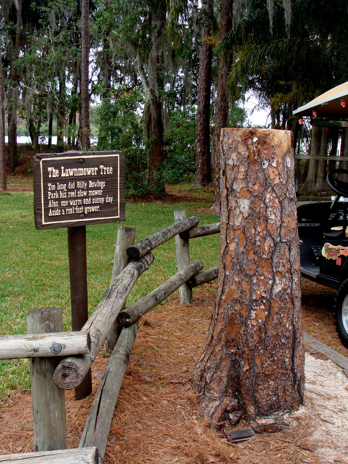 Lawnmower Tree