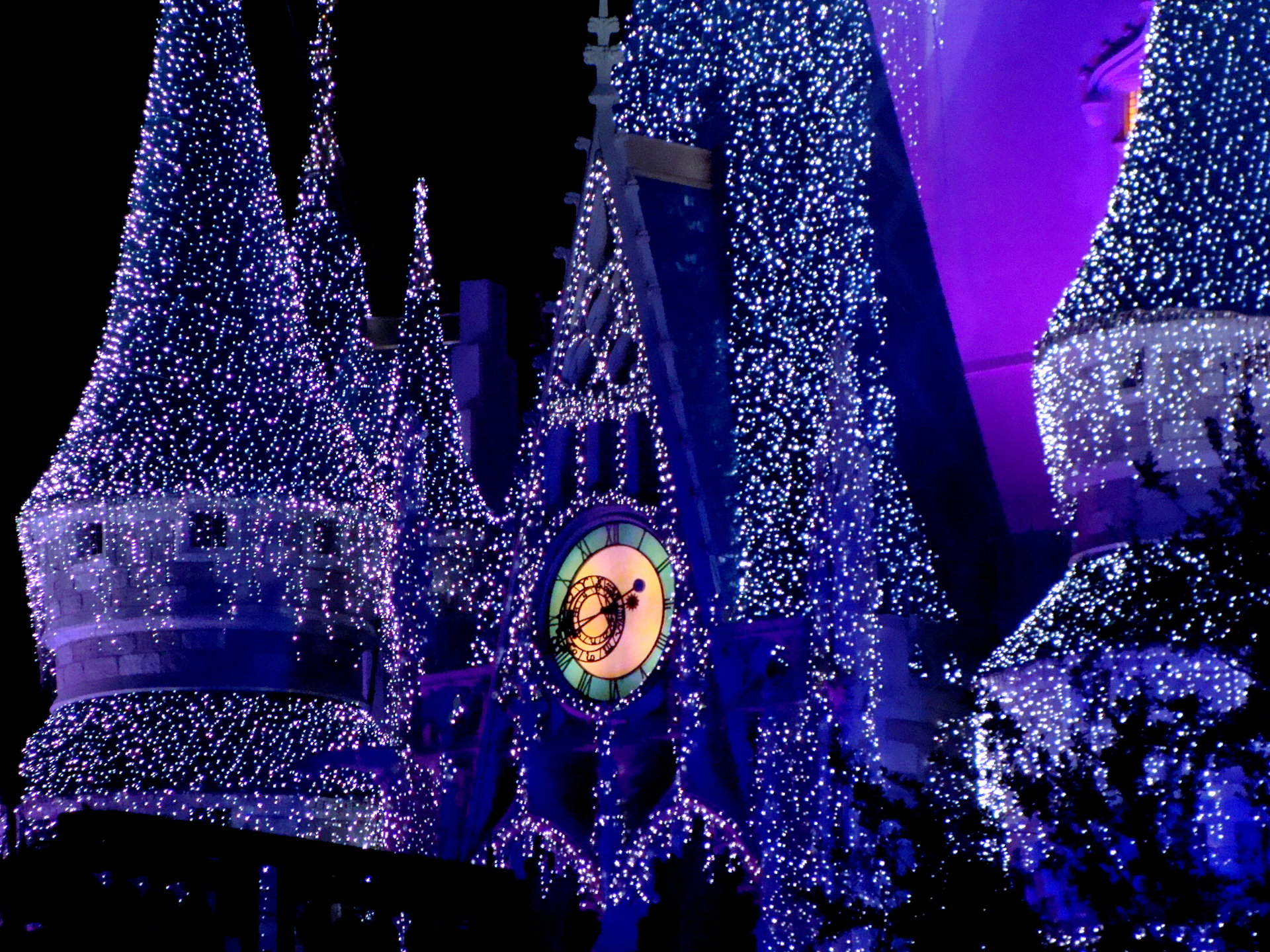 Castle Dream Lights (close up)