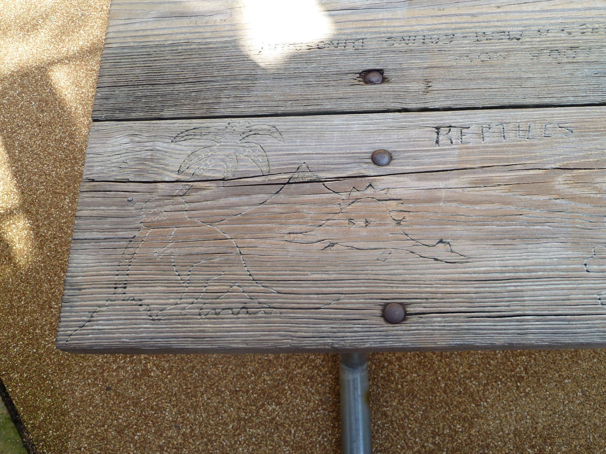 Picnic Table Carvings