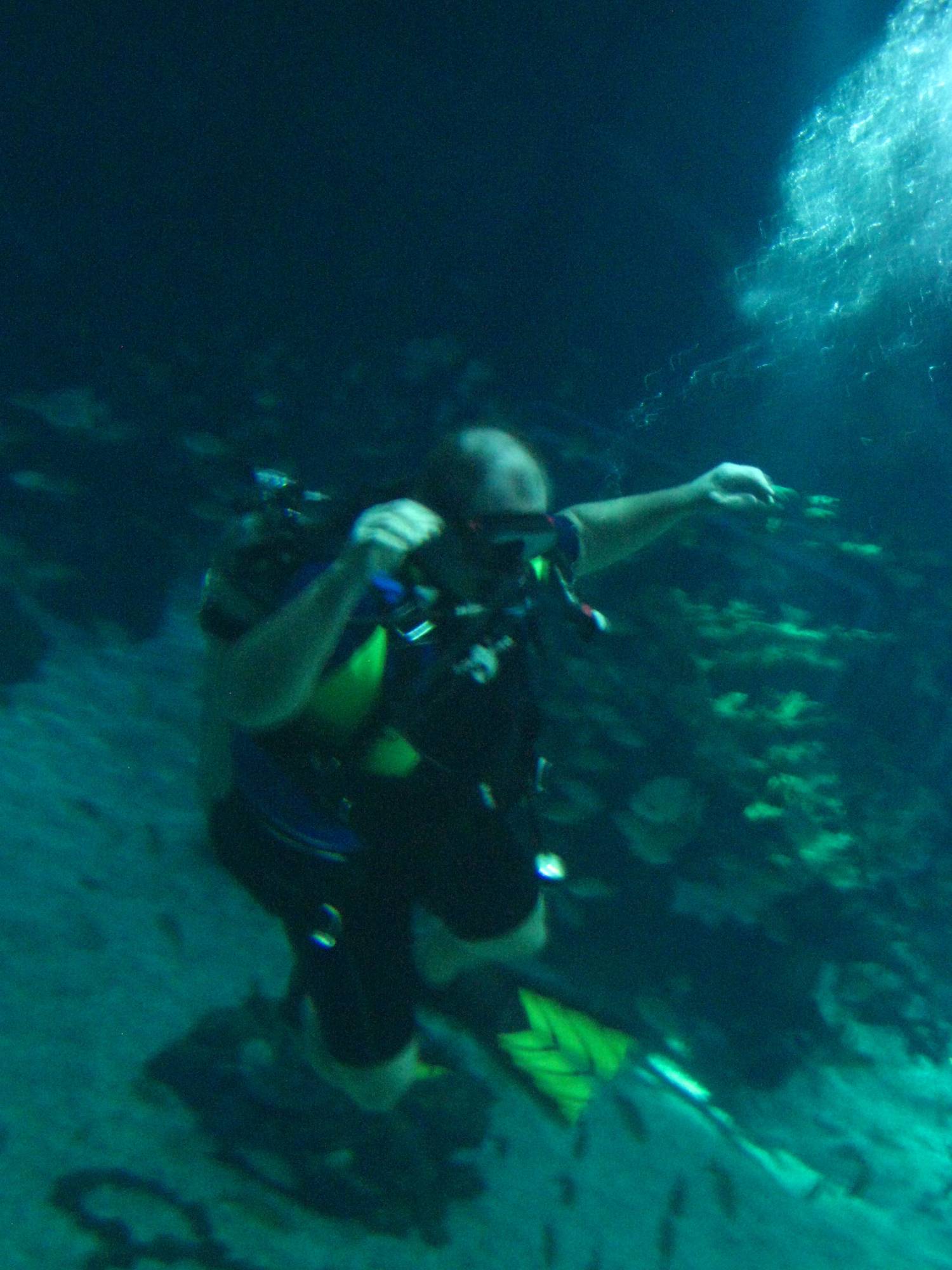 Lee diving at The Seas, EPCOT