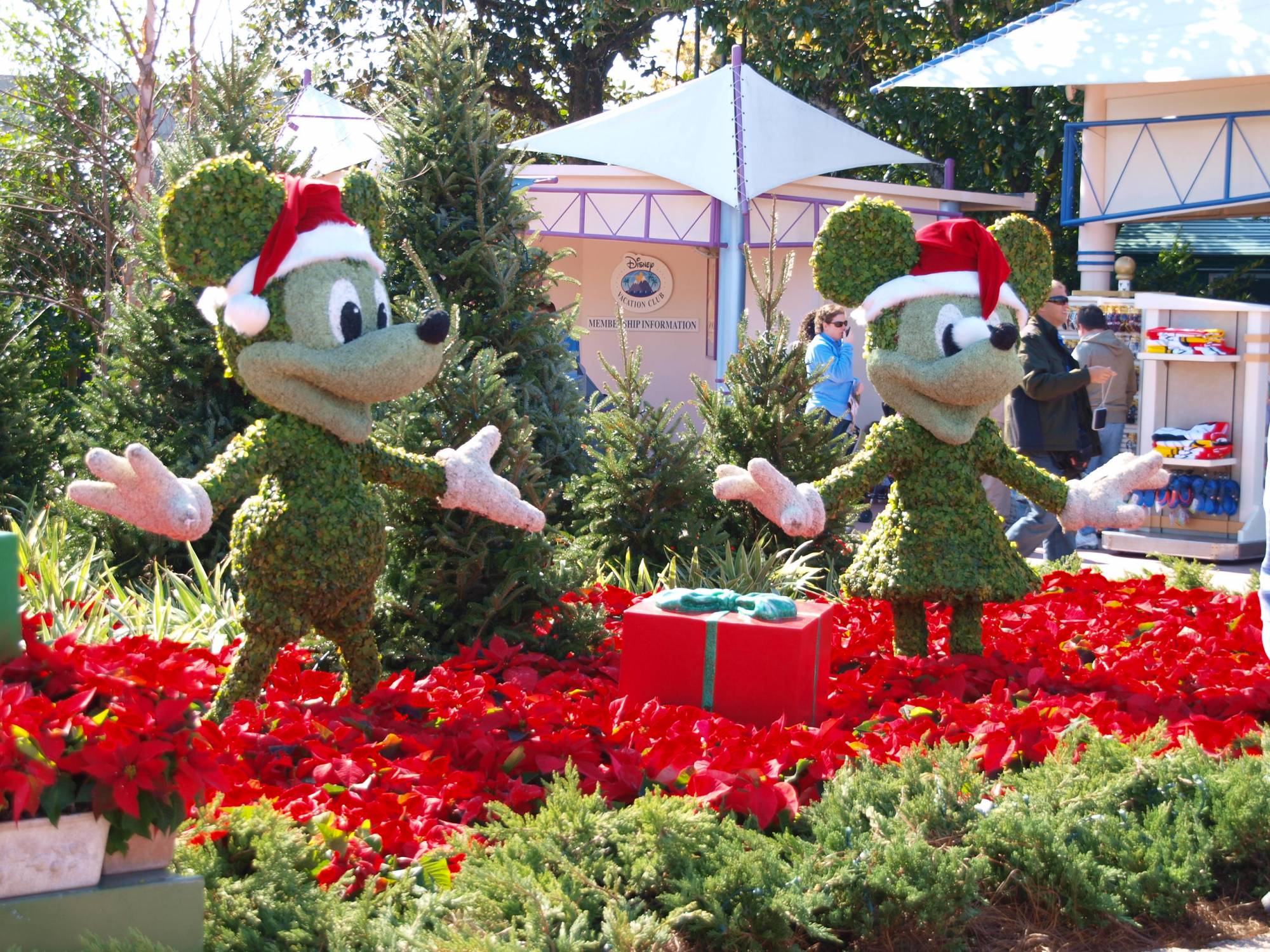 EPCOT-Christmas Character Topiaries