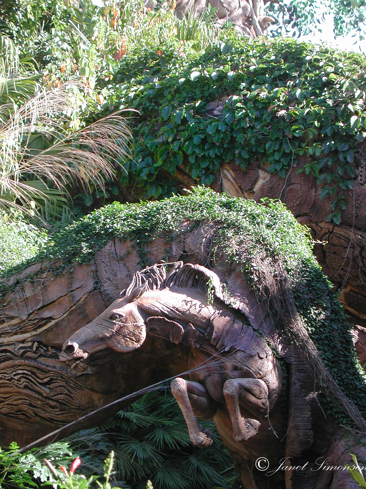 Animal Kingdom- Tree of Life