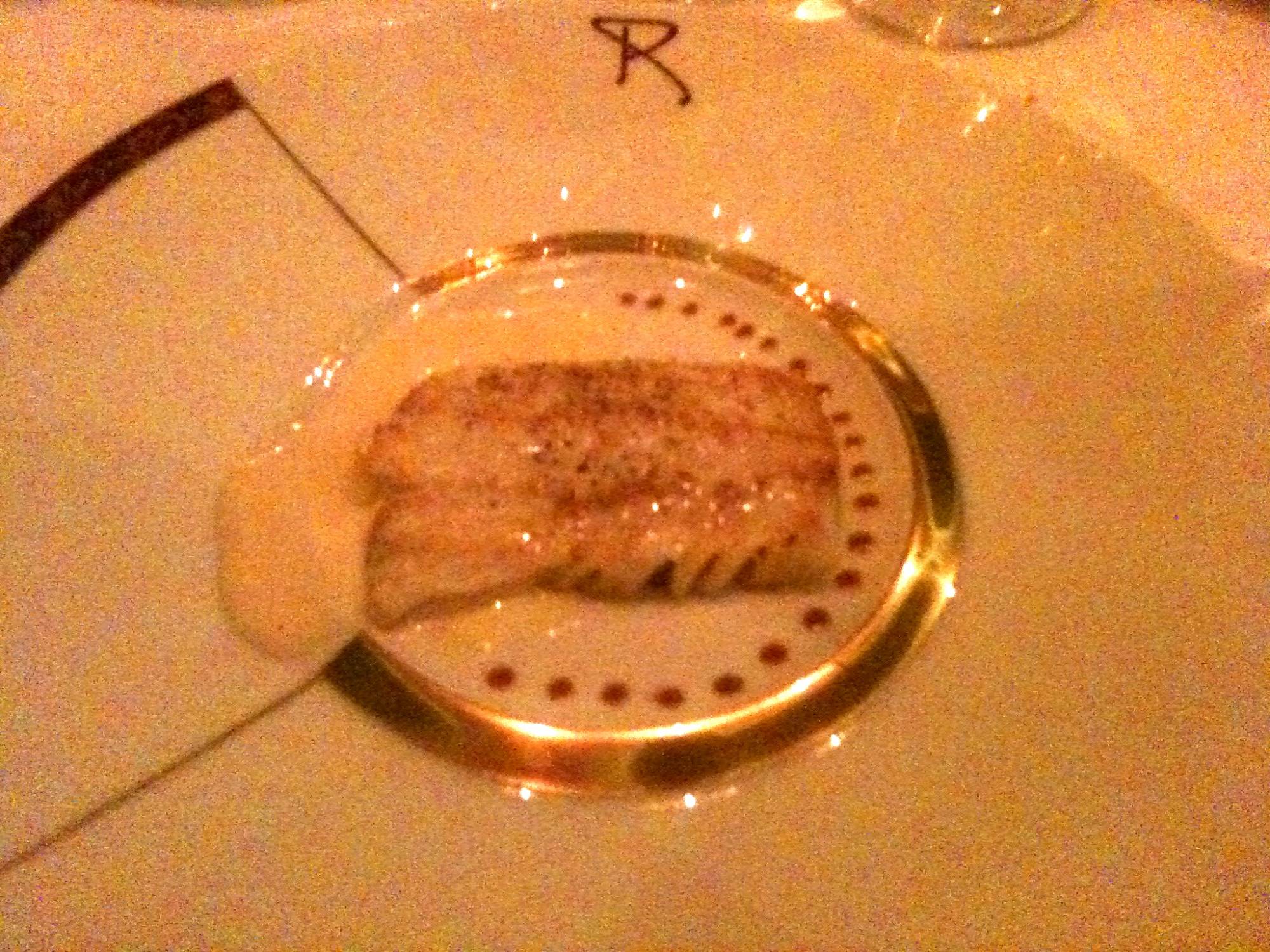 Disney Dream - Turbot Cotier at Remy