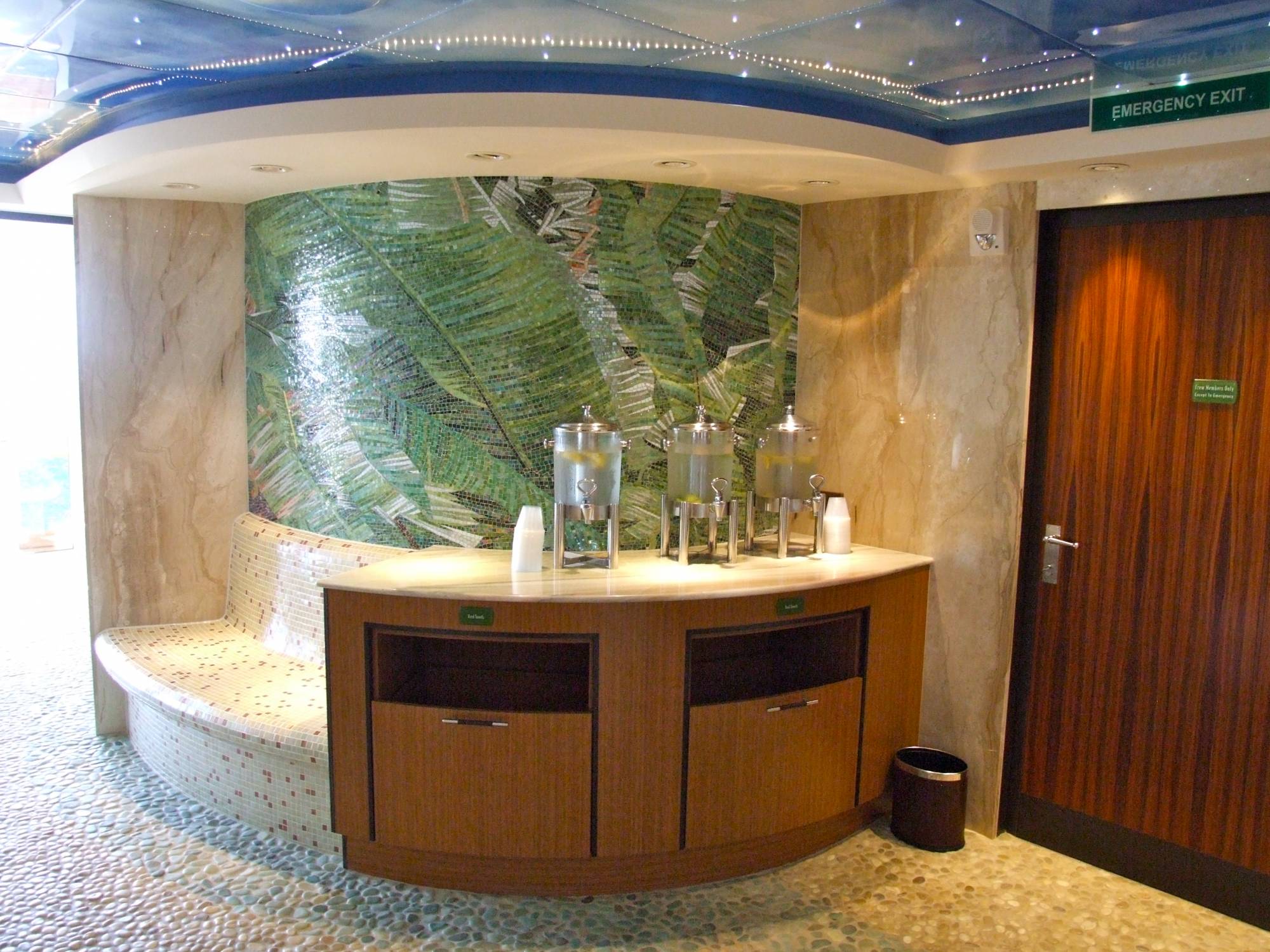 Rainforest Room Refreshments at Senses Spa - Disney Dream