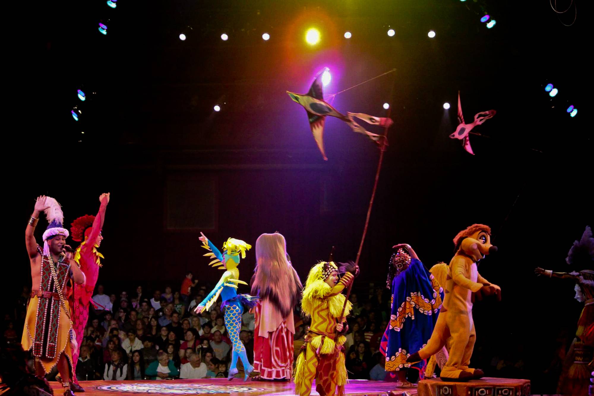 Festival Of The Lion King