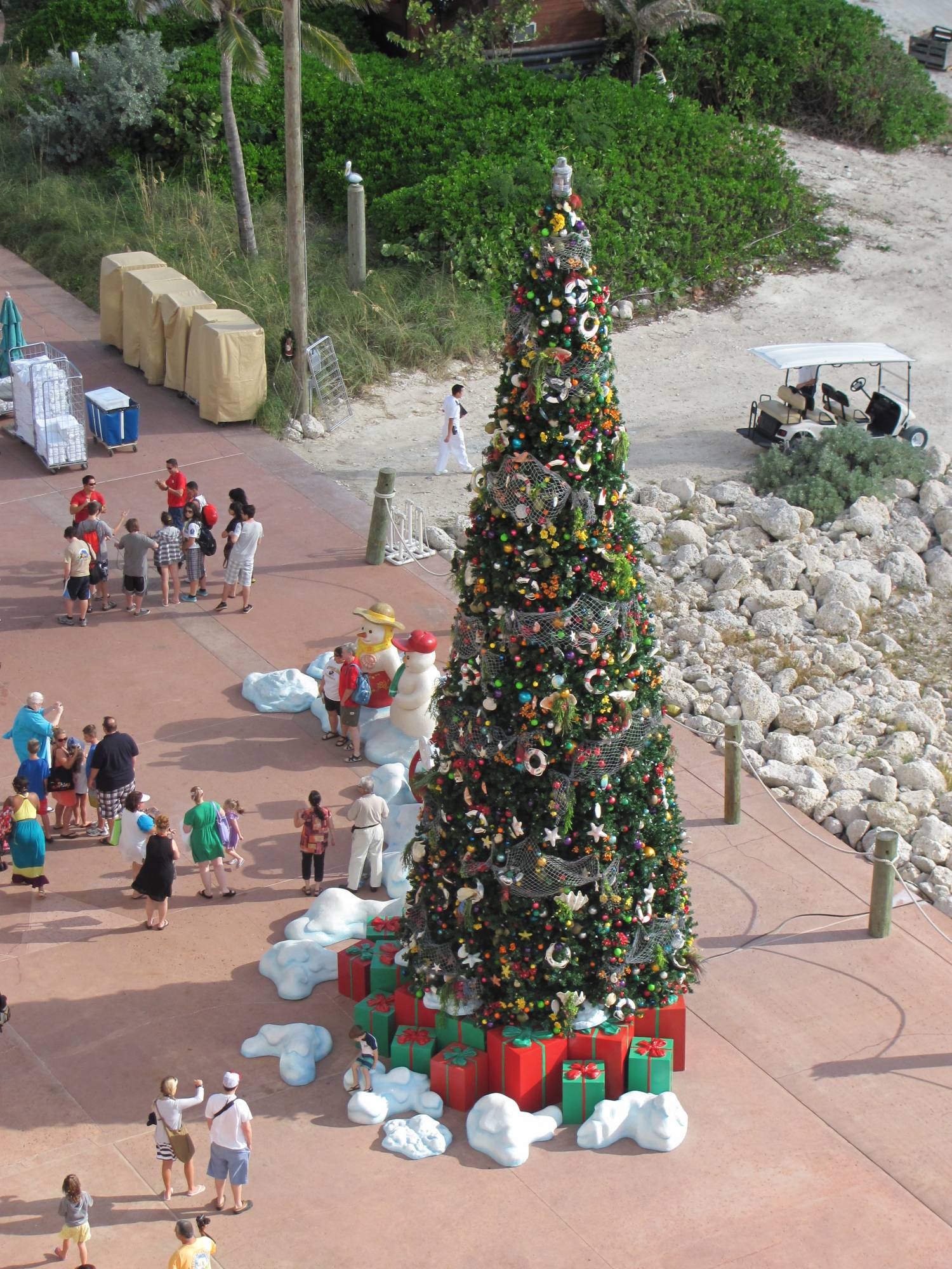 Christmas Tree on Castaway Cay