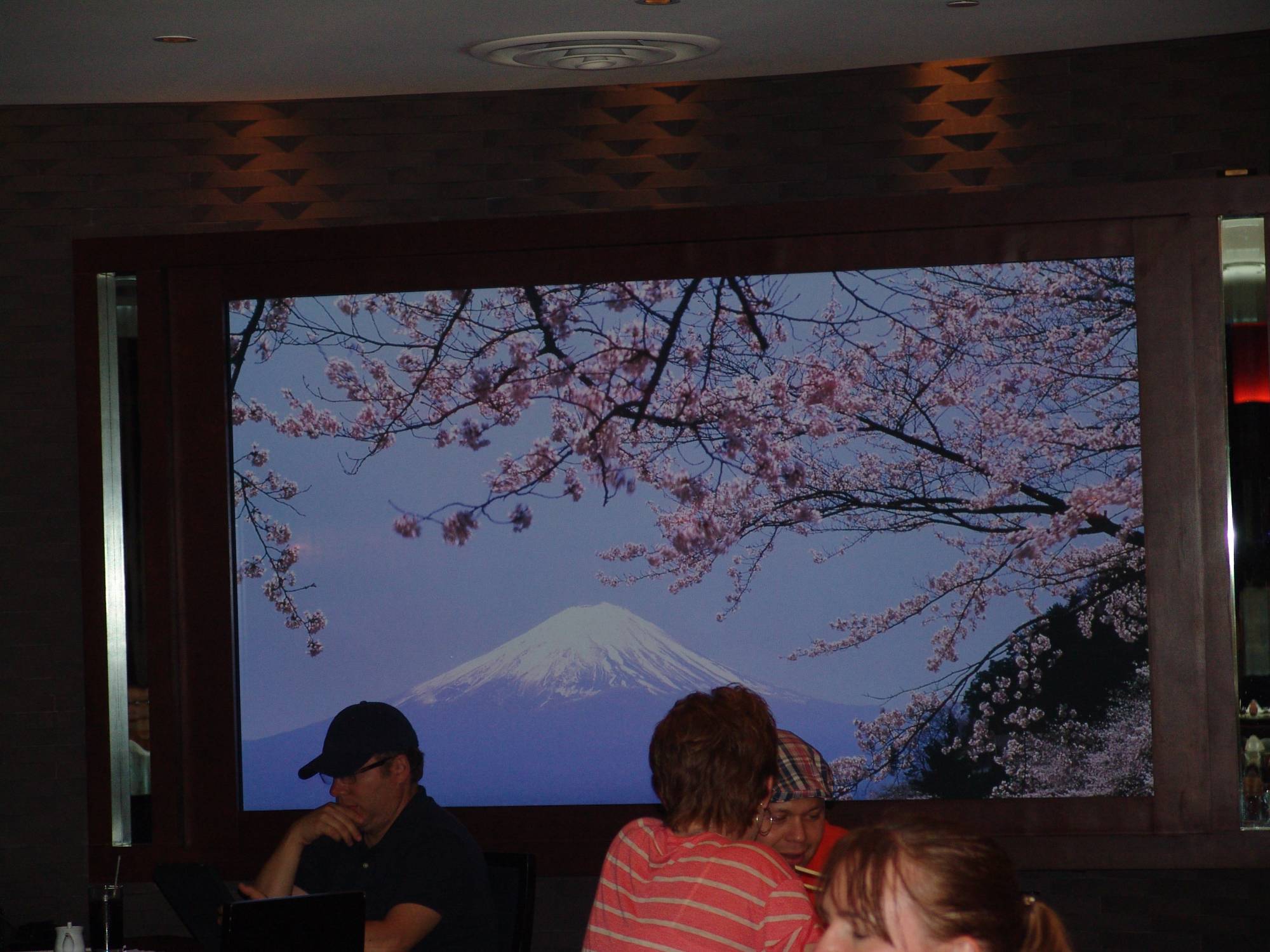 Epcot - Tokyo Dining