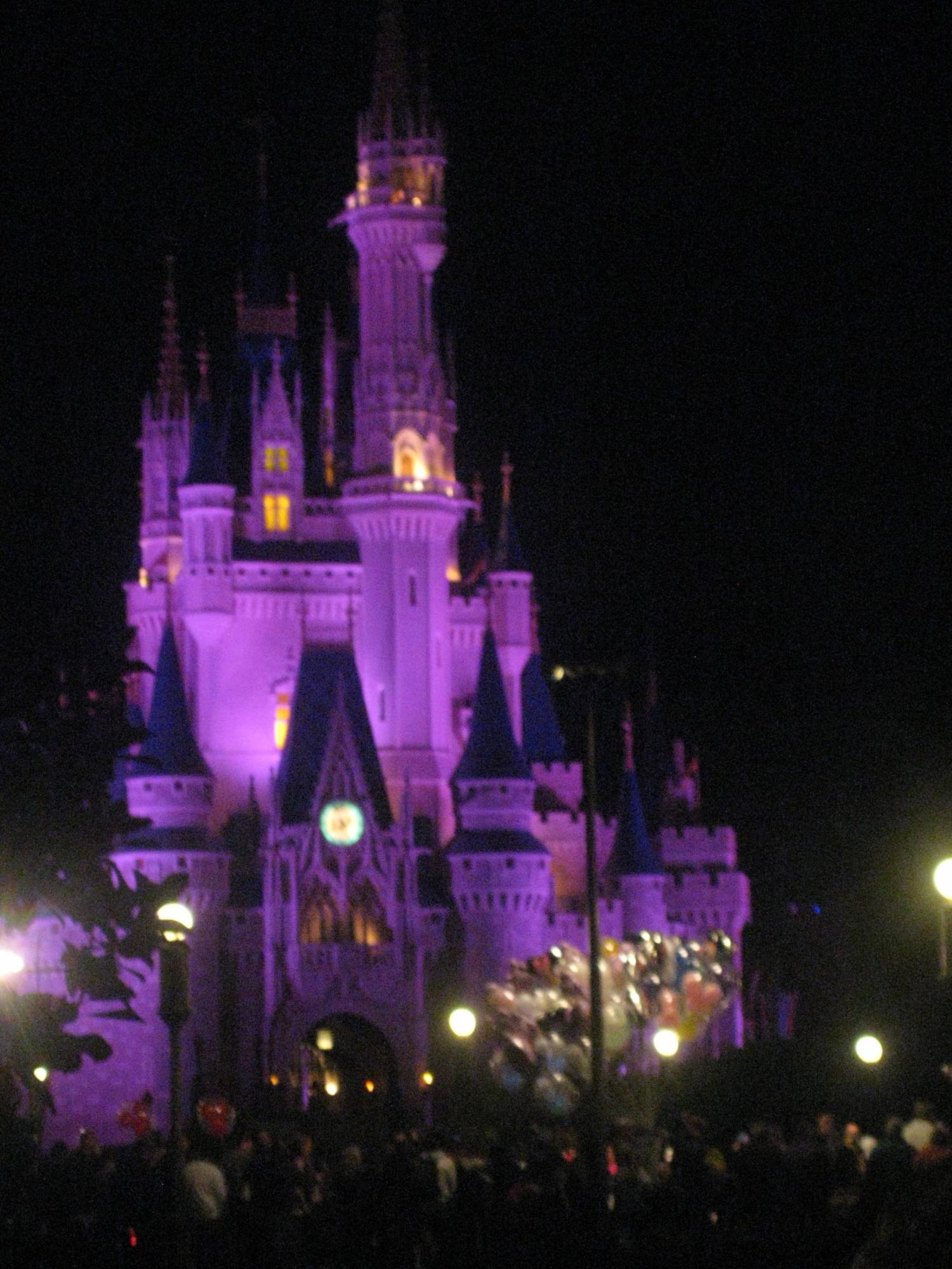 Purple Cinderella Castle night shot, Magic Kingdom