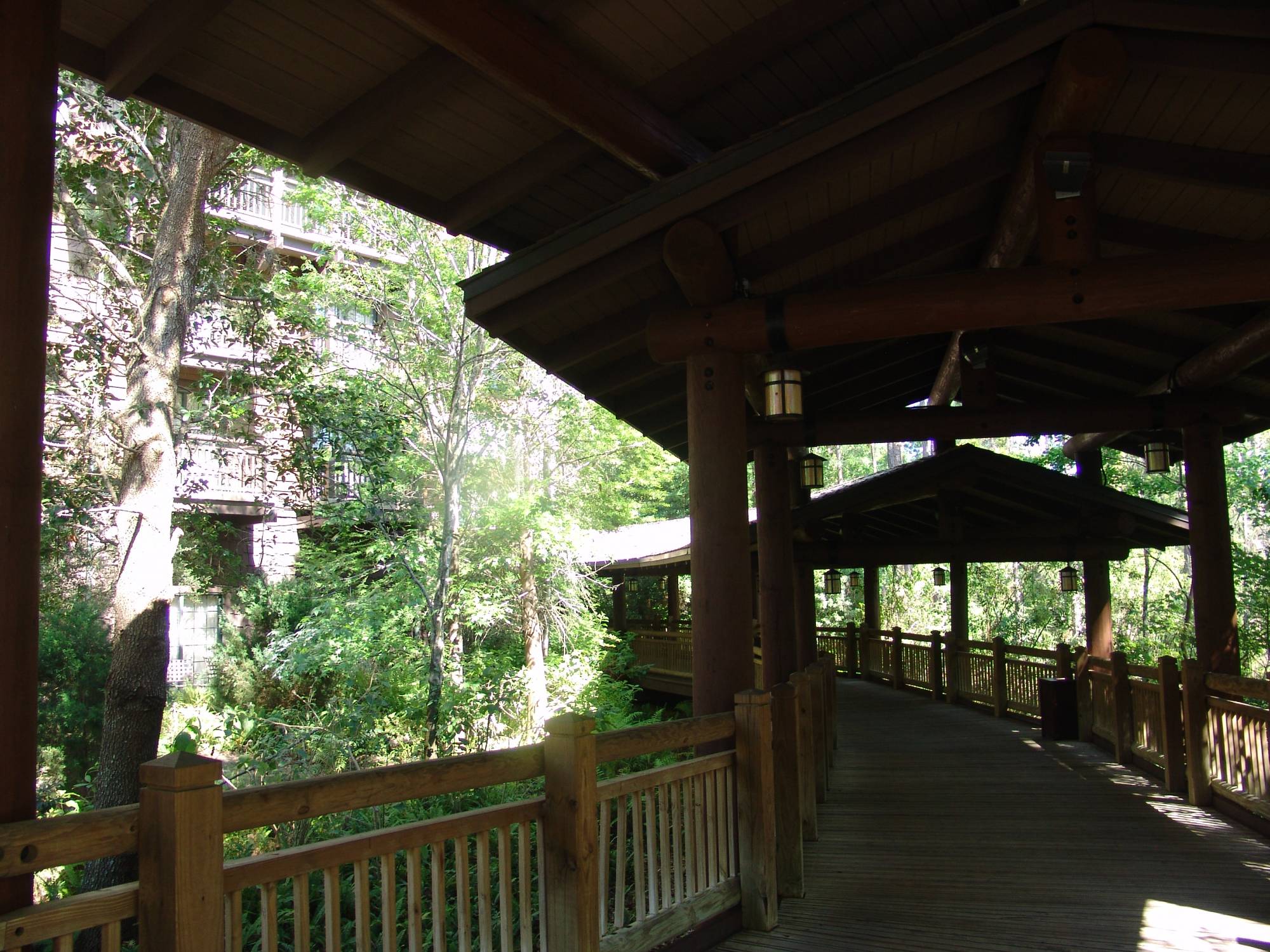 Wilderness Lodge - walkway to the Villas