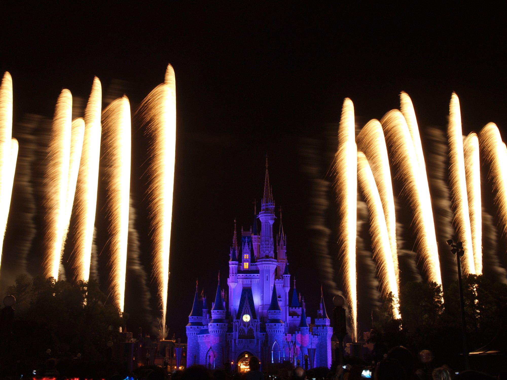 Magic Kingdom - Wishes