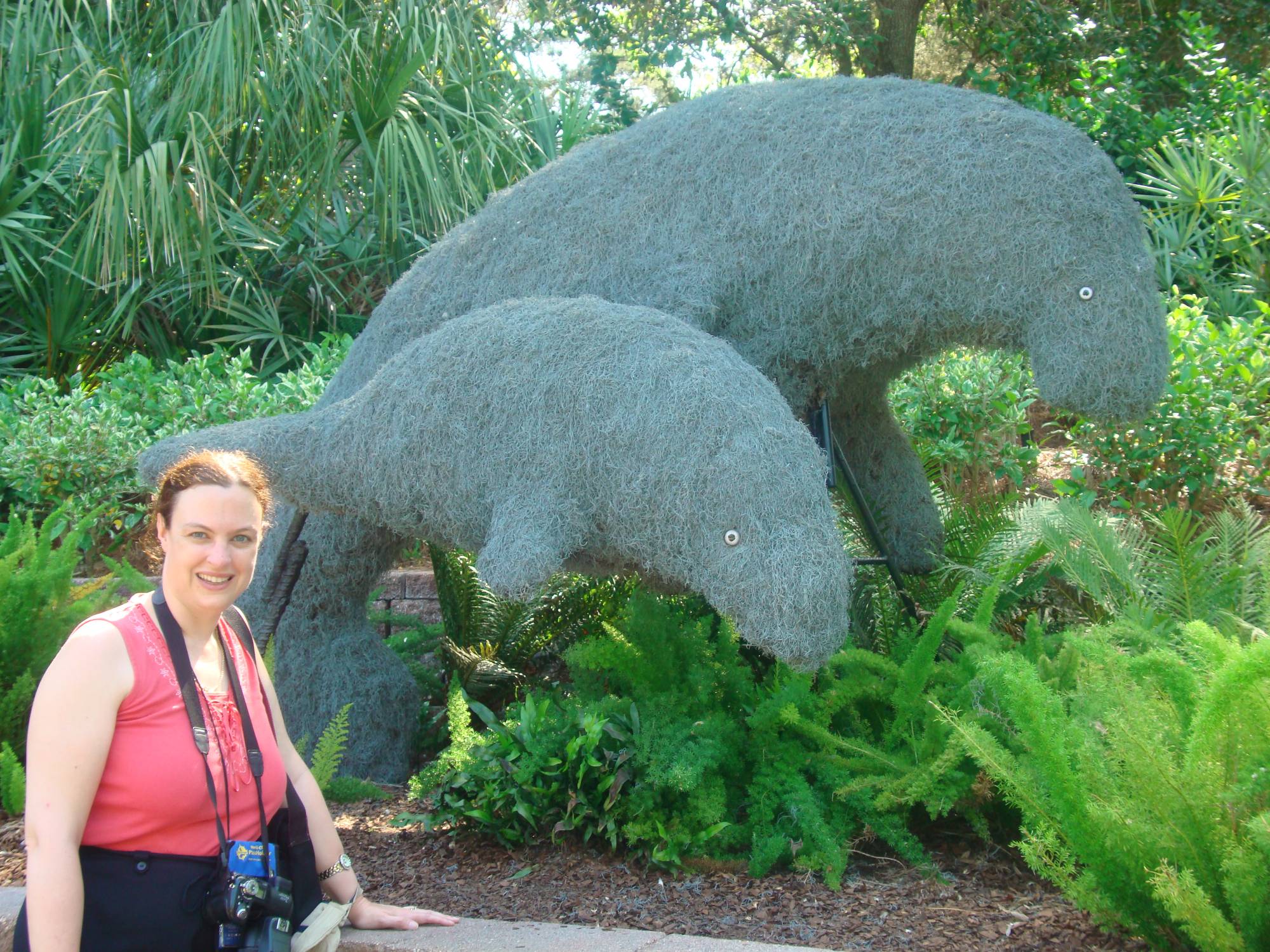 SeaWorld - manatees