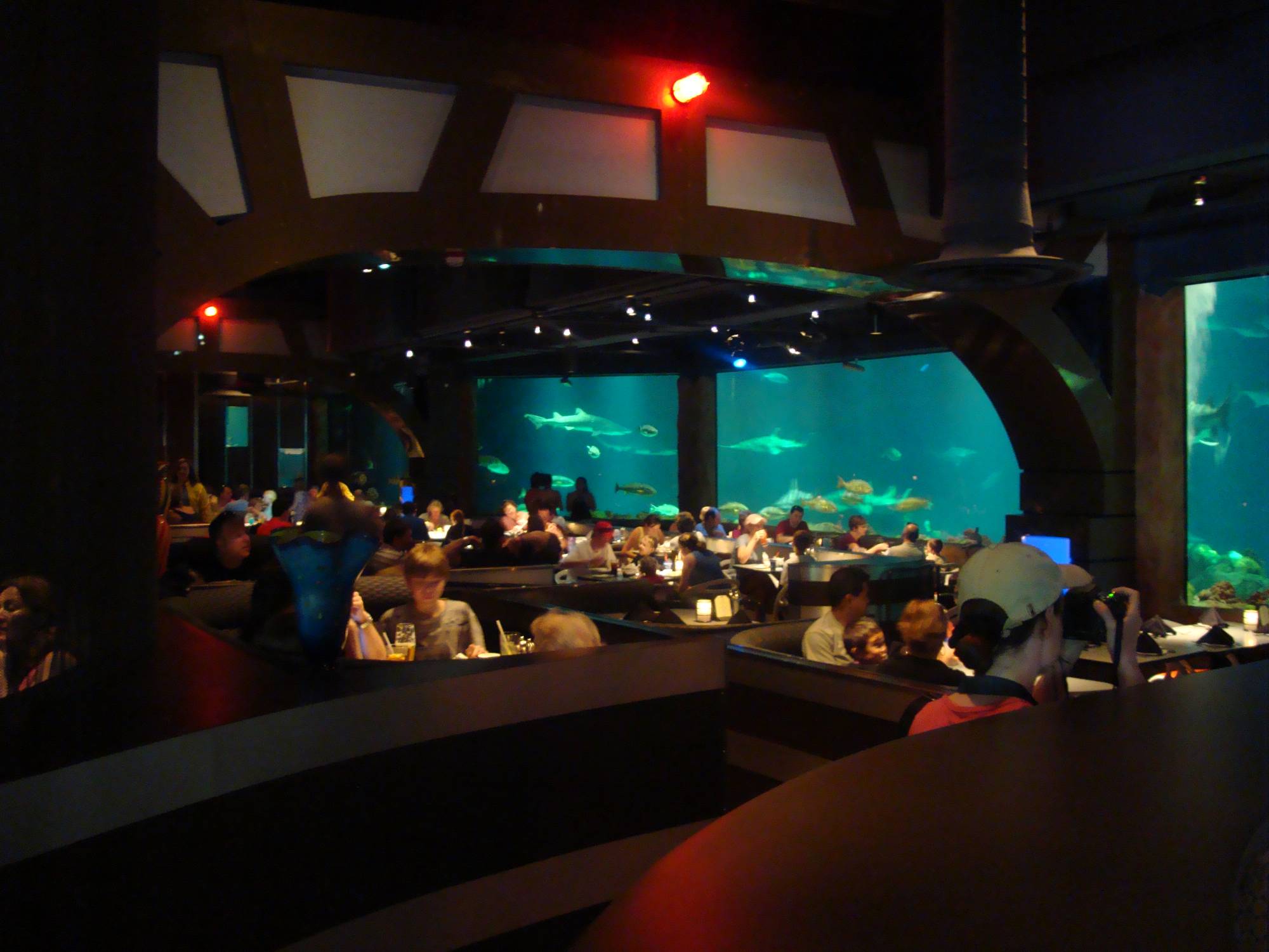 SeaWorld - Sharks Underwater Grill