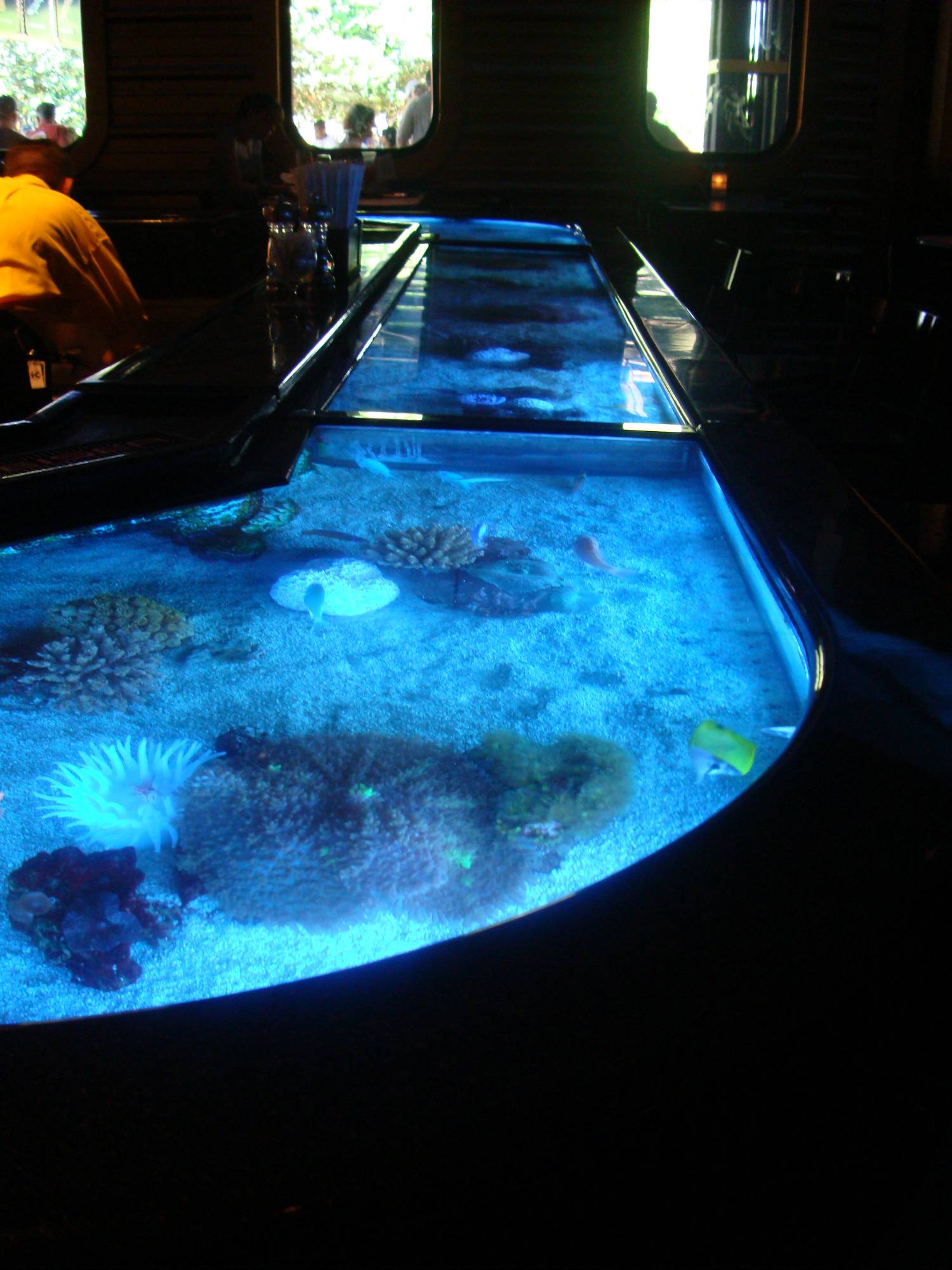 SeaWorld - Sharks Underwater Grill