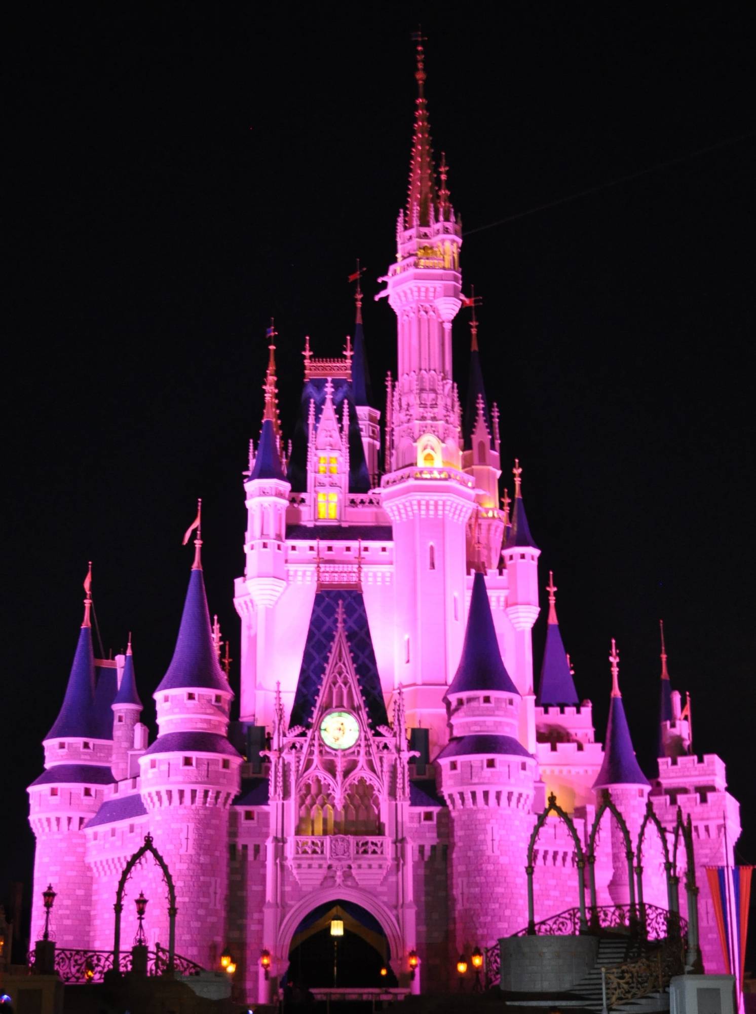 Cinderella's Castle - Pink