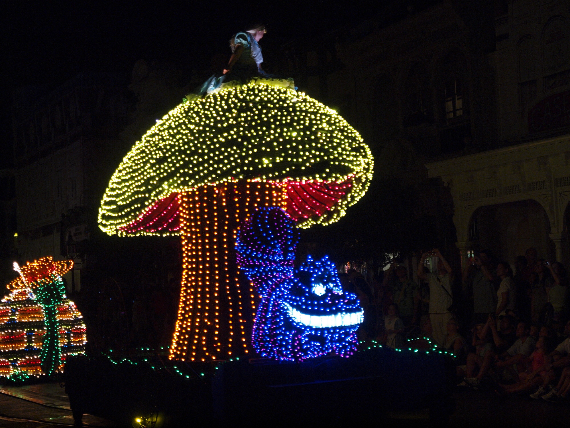 Magic Kingdom - Main Street Electrical Parade