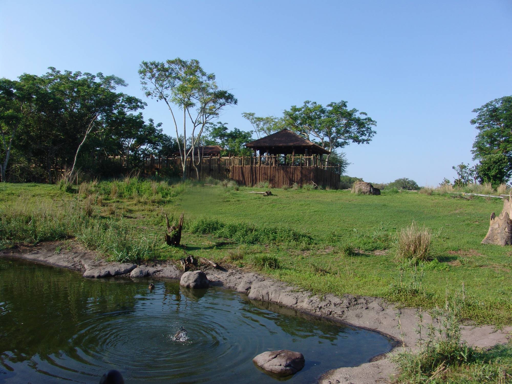 Animal Kingdom - Wild Africa Trek from safari