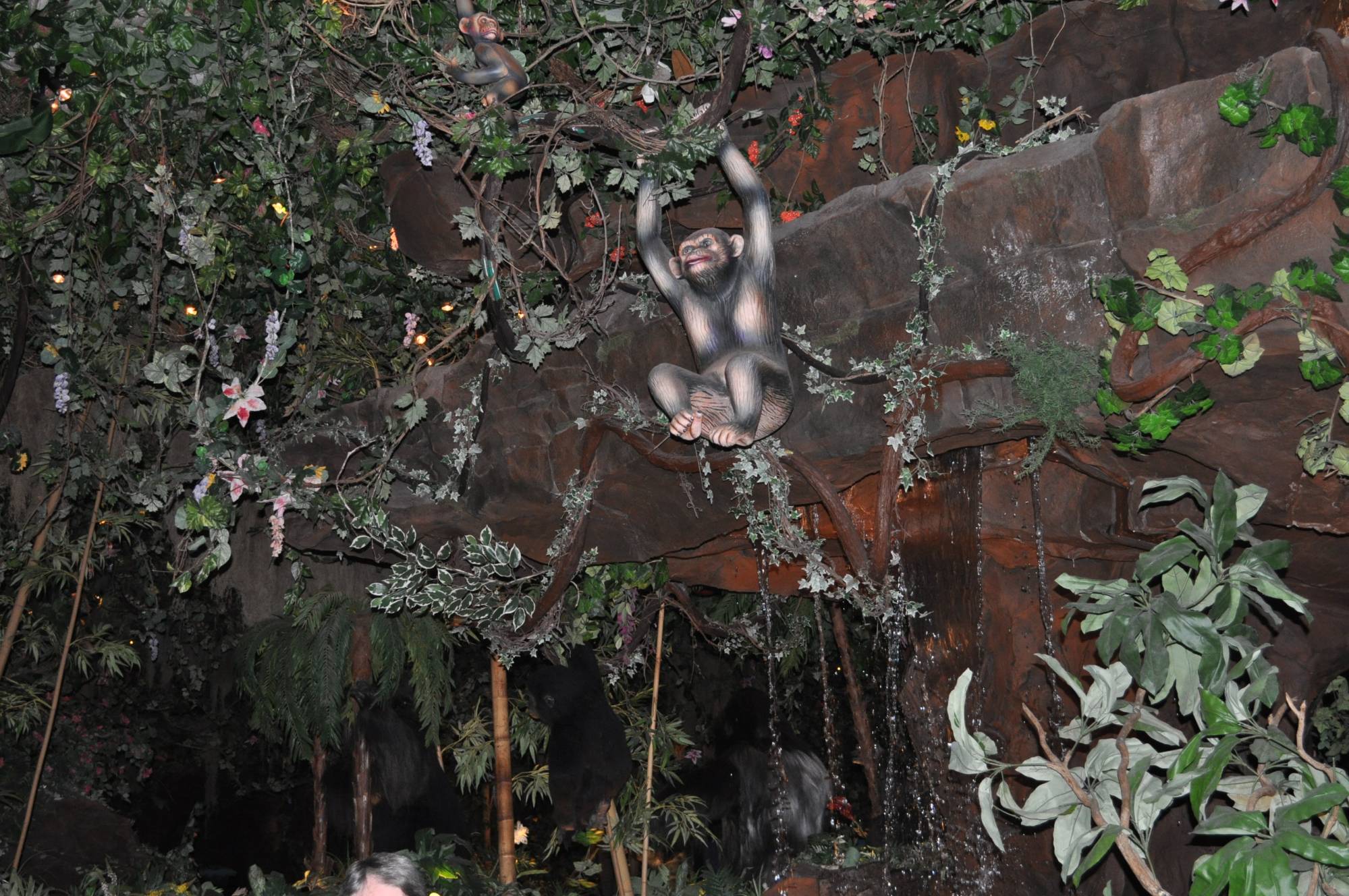 Animal Kingdom- Rainforest Cafe Monkeys