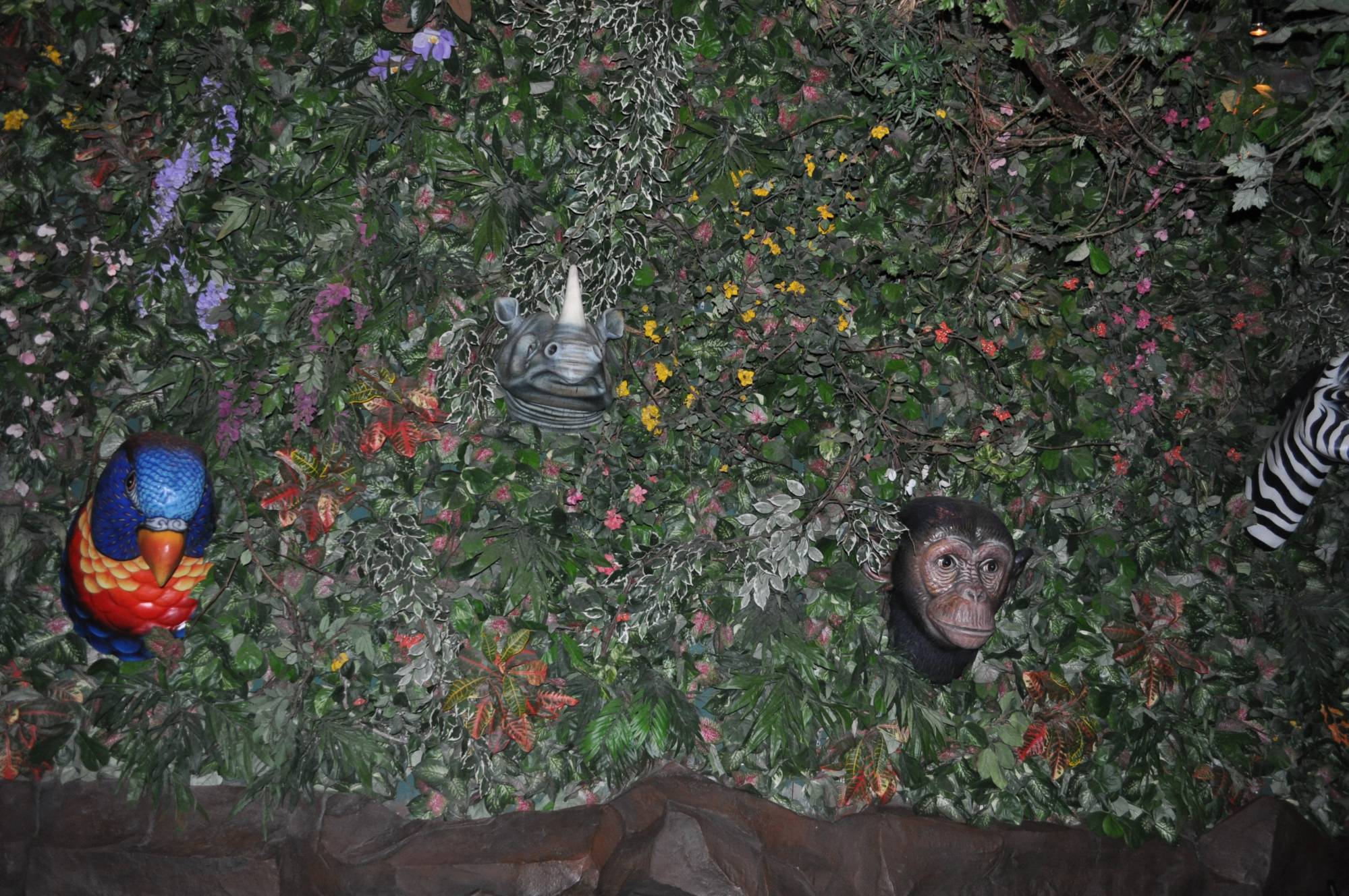 Animal Kingdom- Rainforest Cafe Animals