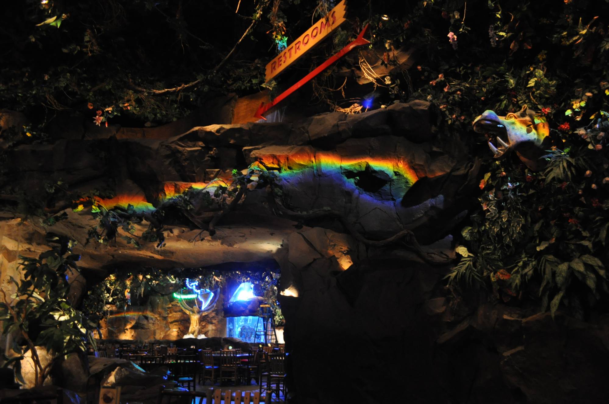 Animal Kingdom- Rainforest Cafe Rainbow