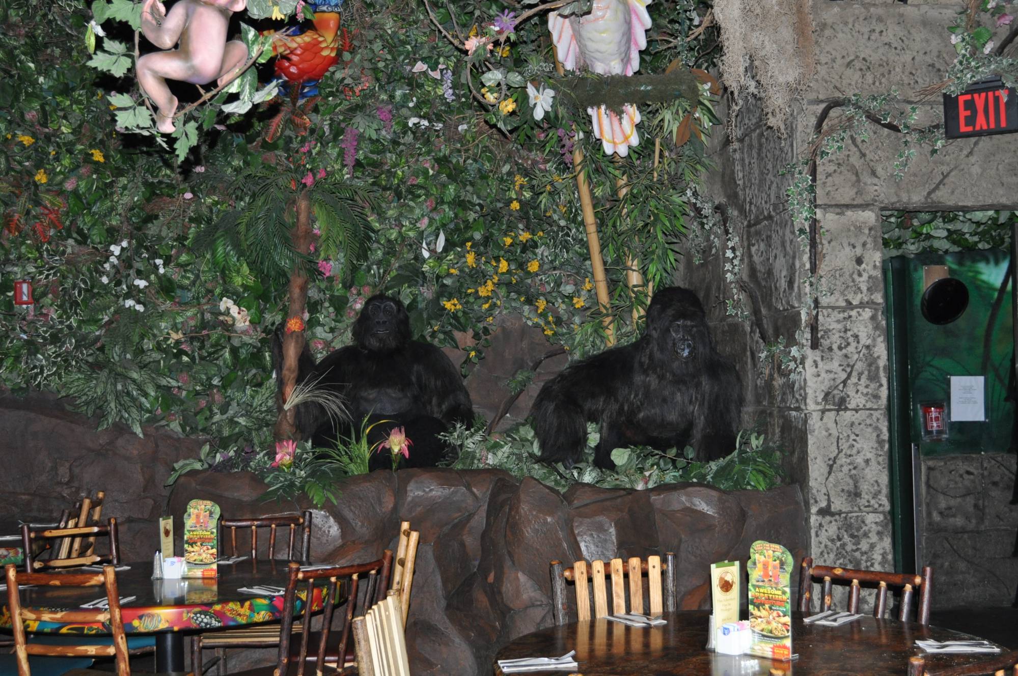 Animal Kingdom- Rainforest Cafe