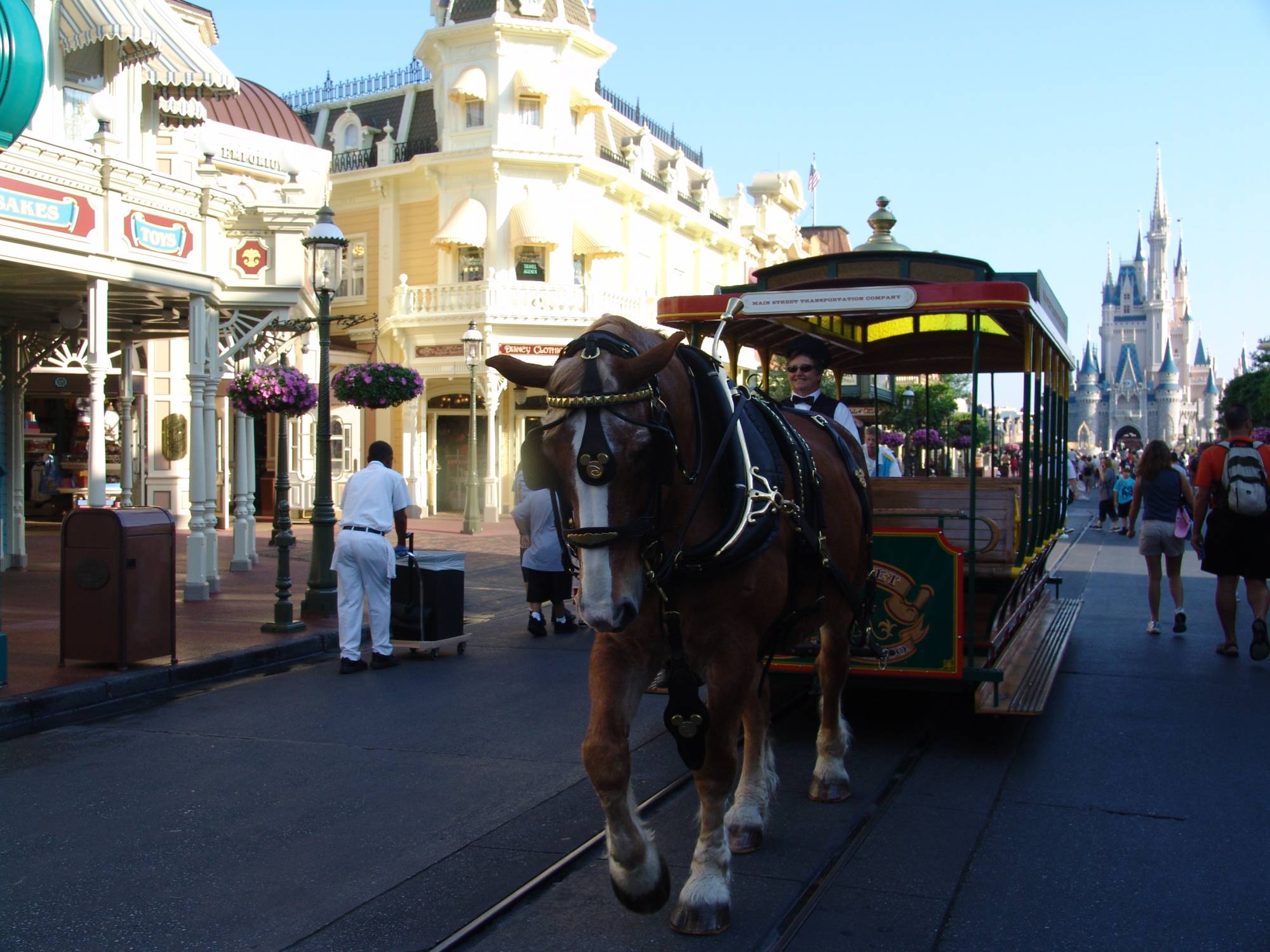 Magic Kingdom - horse drawn vehicle