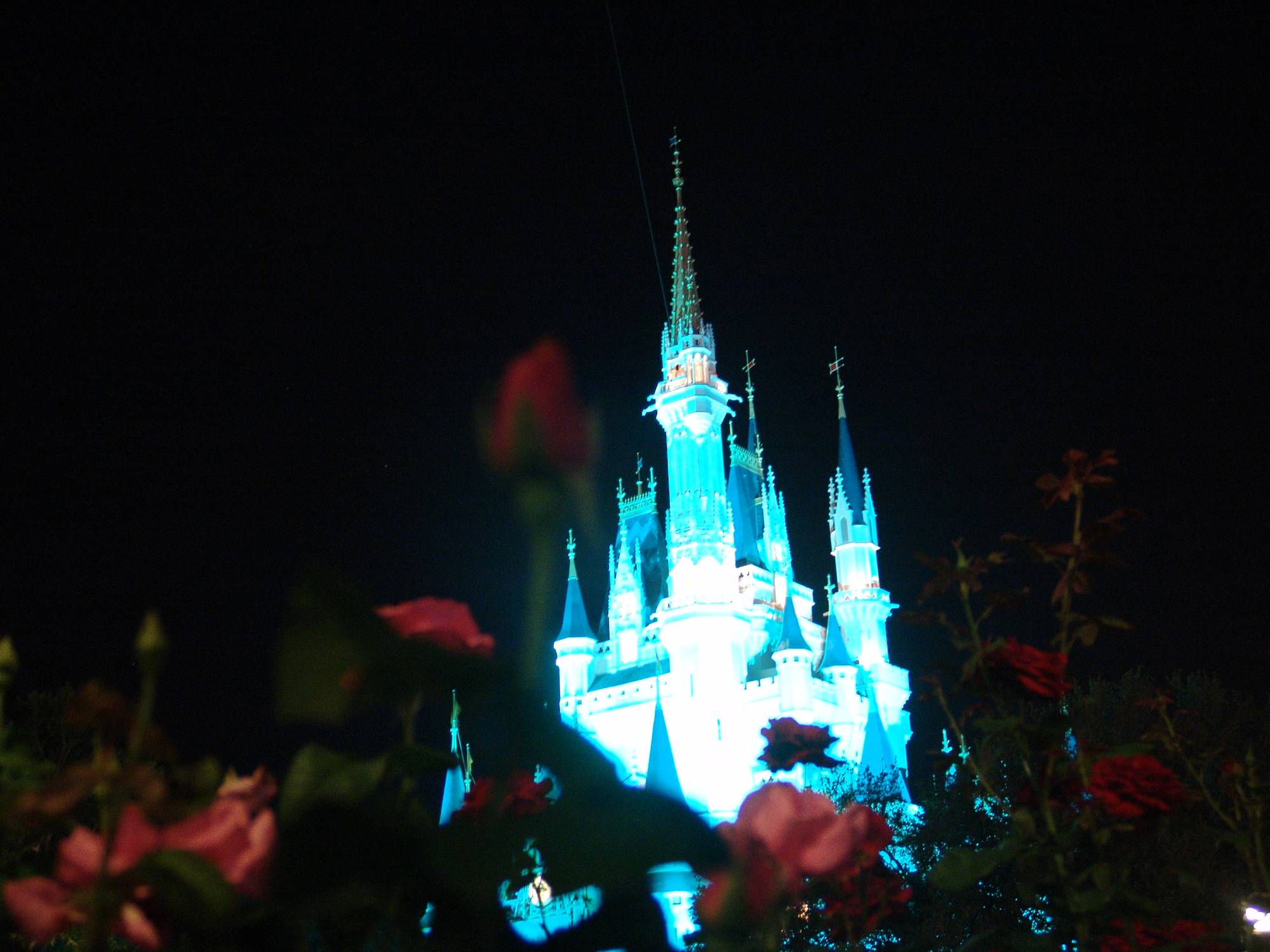 Magic Kingdom - Cinderella Castle