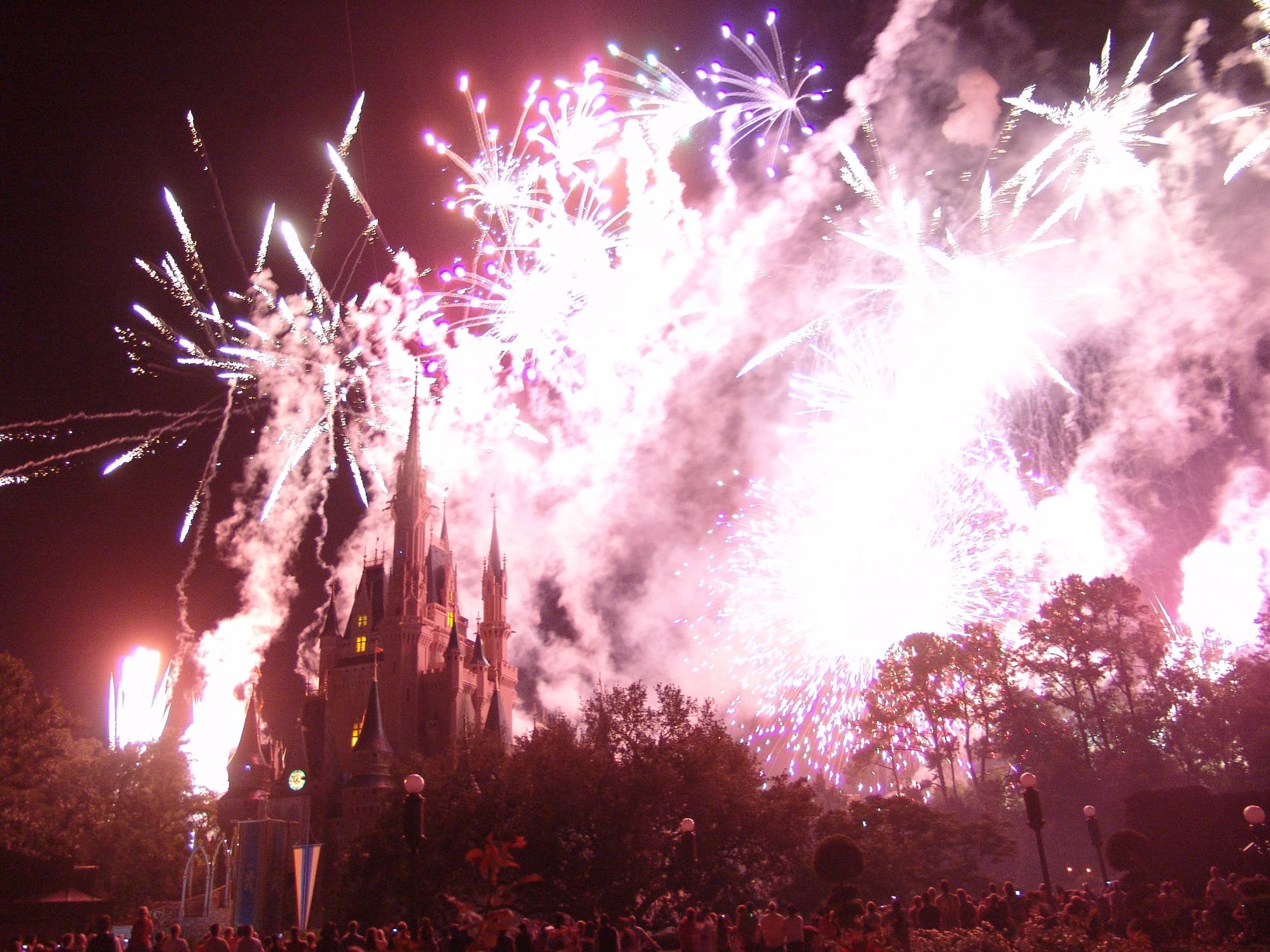 Magic Kingdom - Wishes