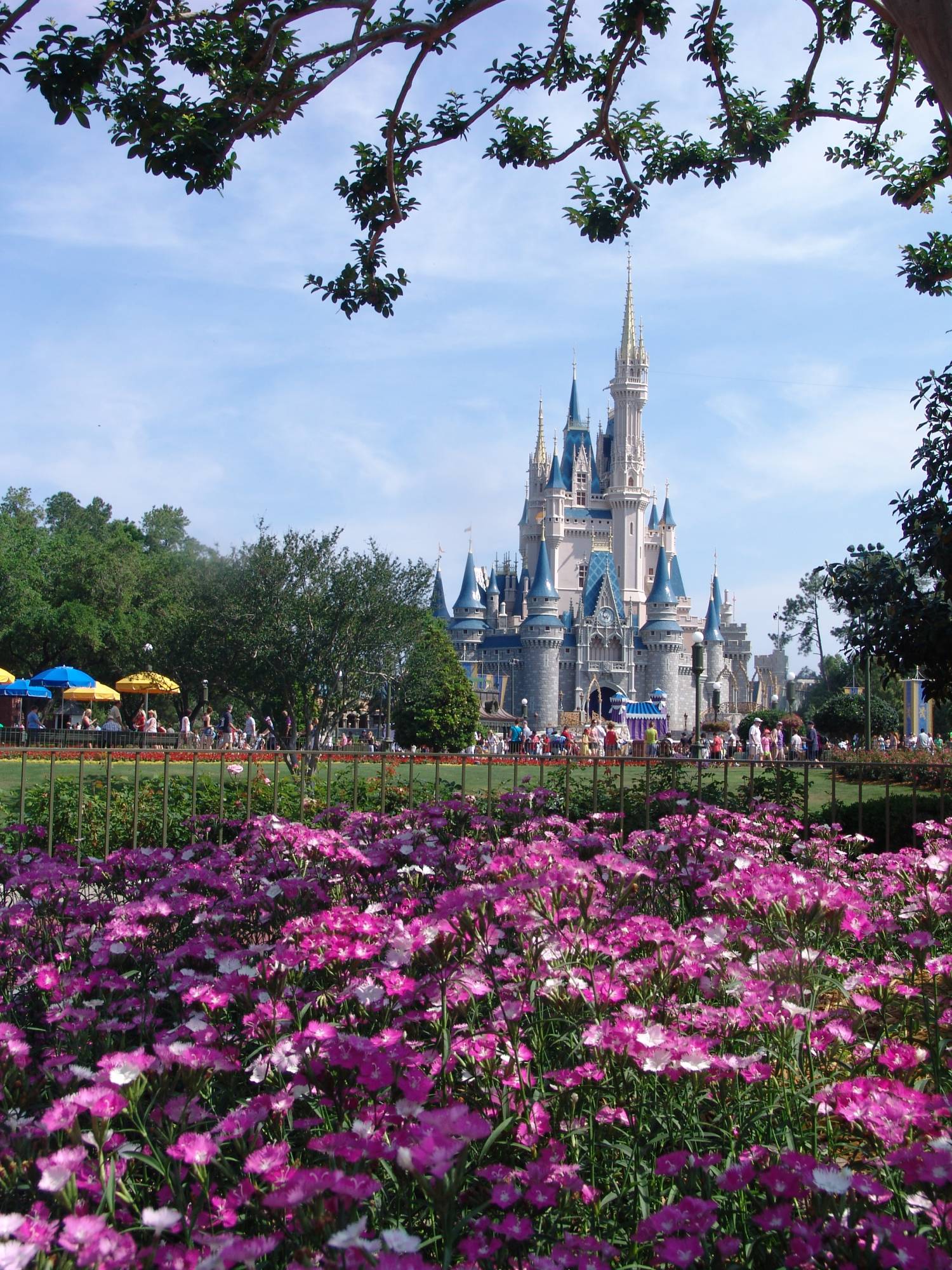 Magic Kingdom - Cinderella Castle