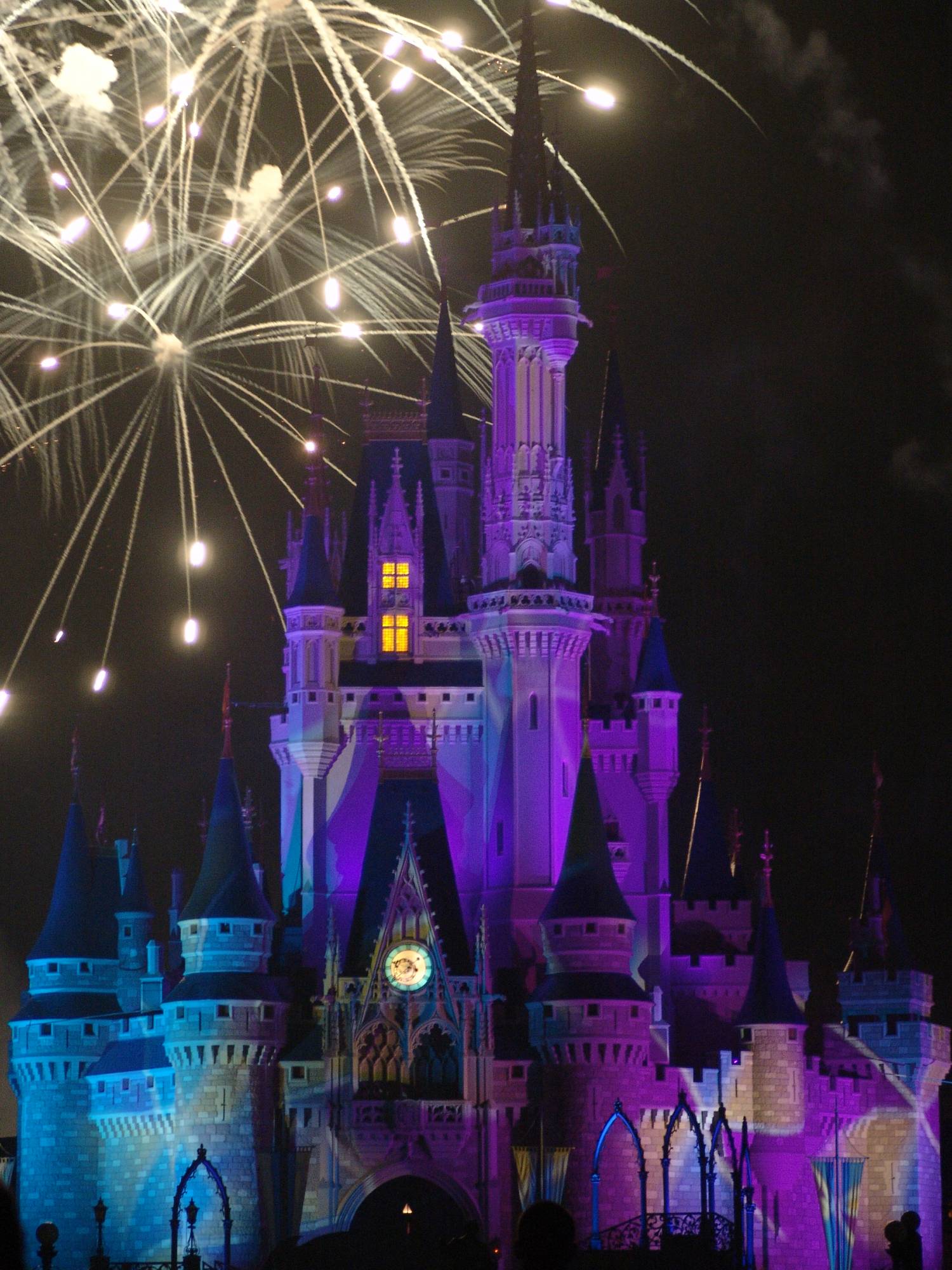 Magic Kingdom - Wishes over Castle