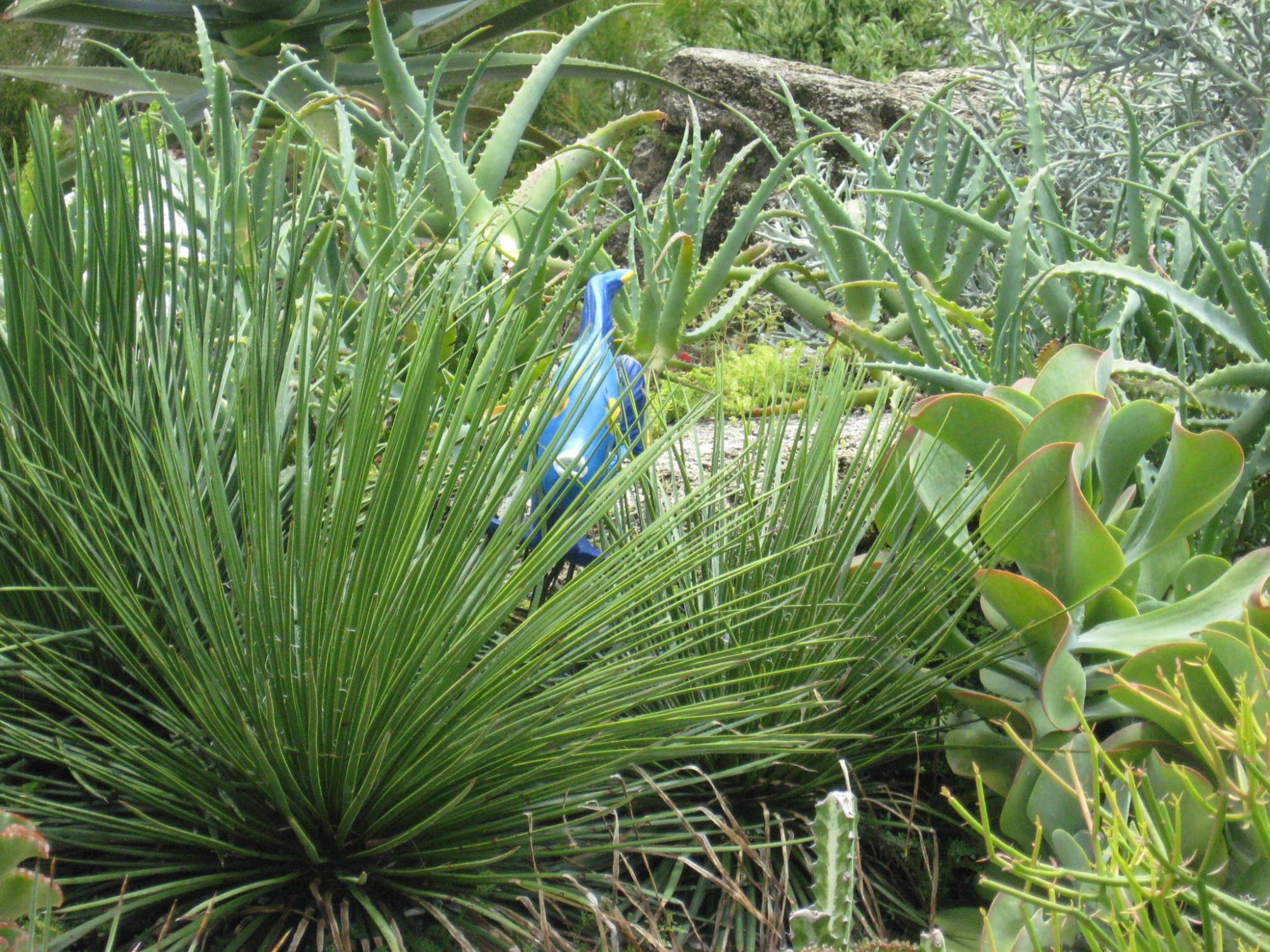 Sea World - Sea Garden