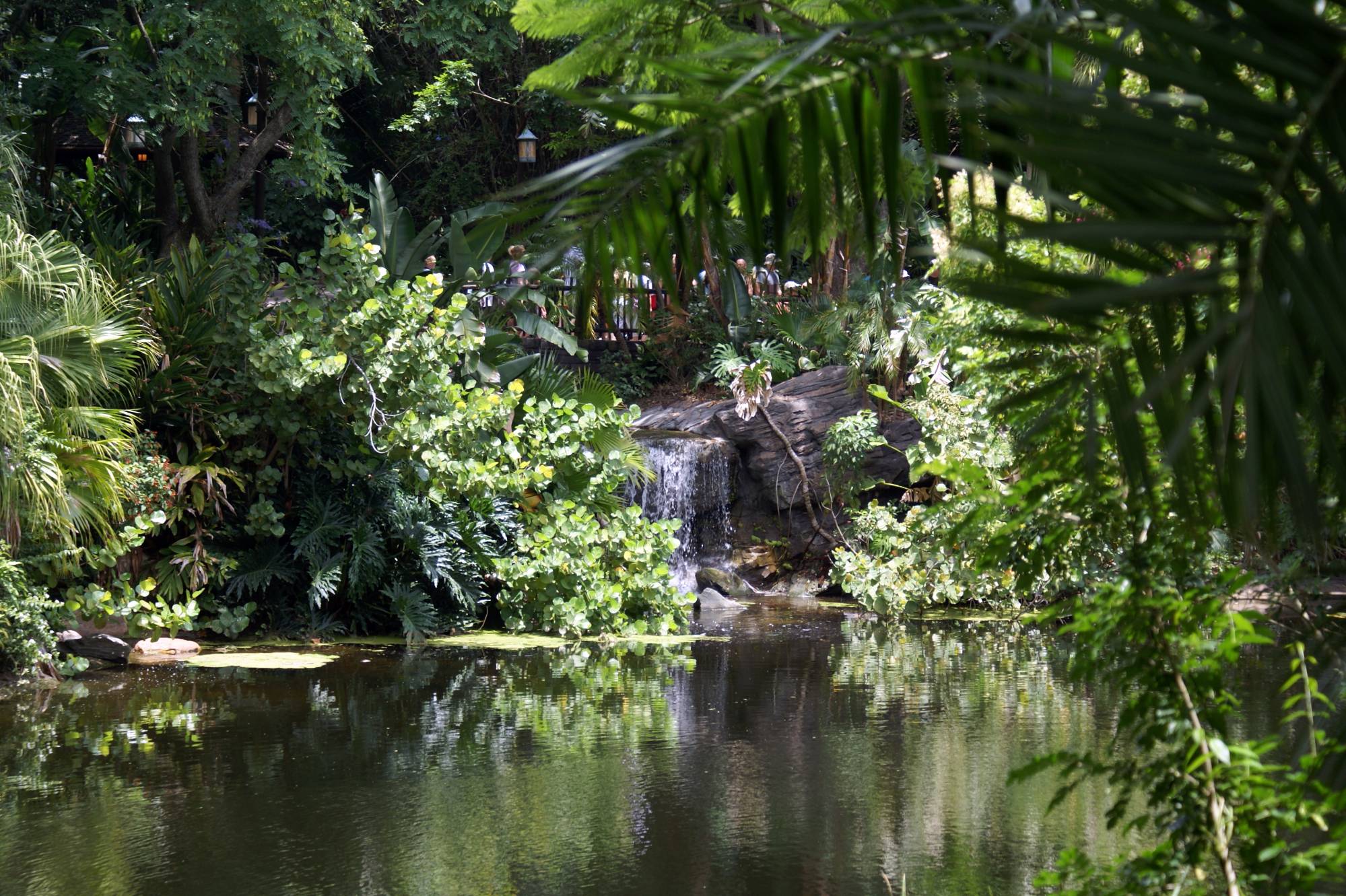 River at Animal Kingdom