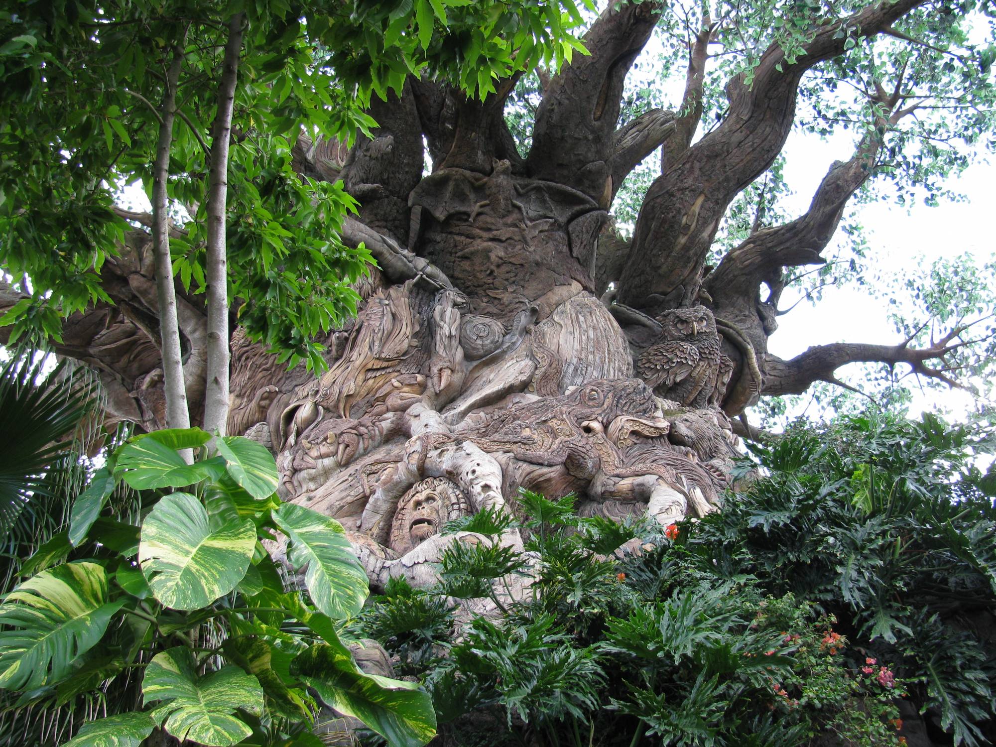 Tree of Life